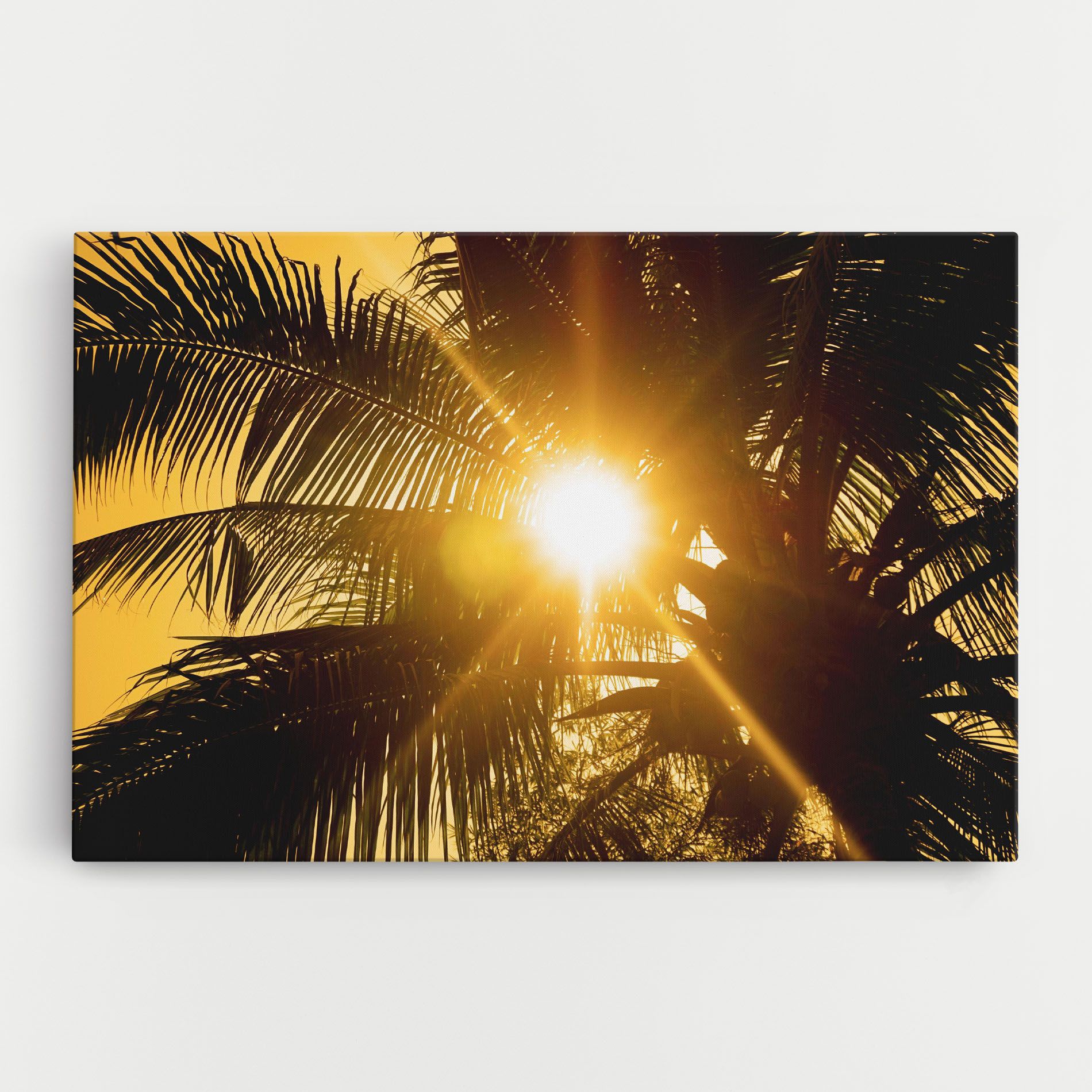Palm Trees Sun mockup 0