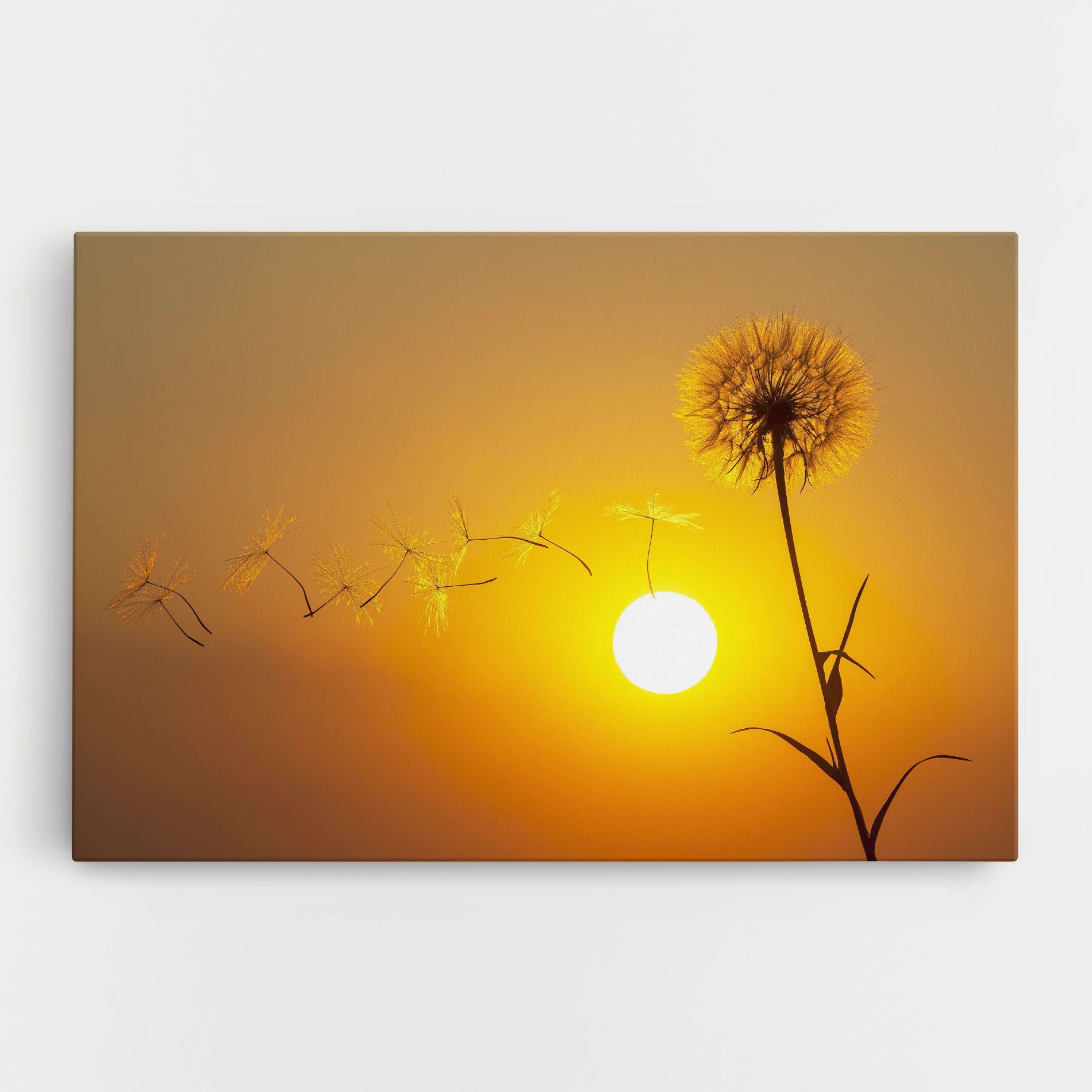 Summer Dandelion mockup 0
