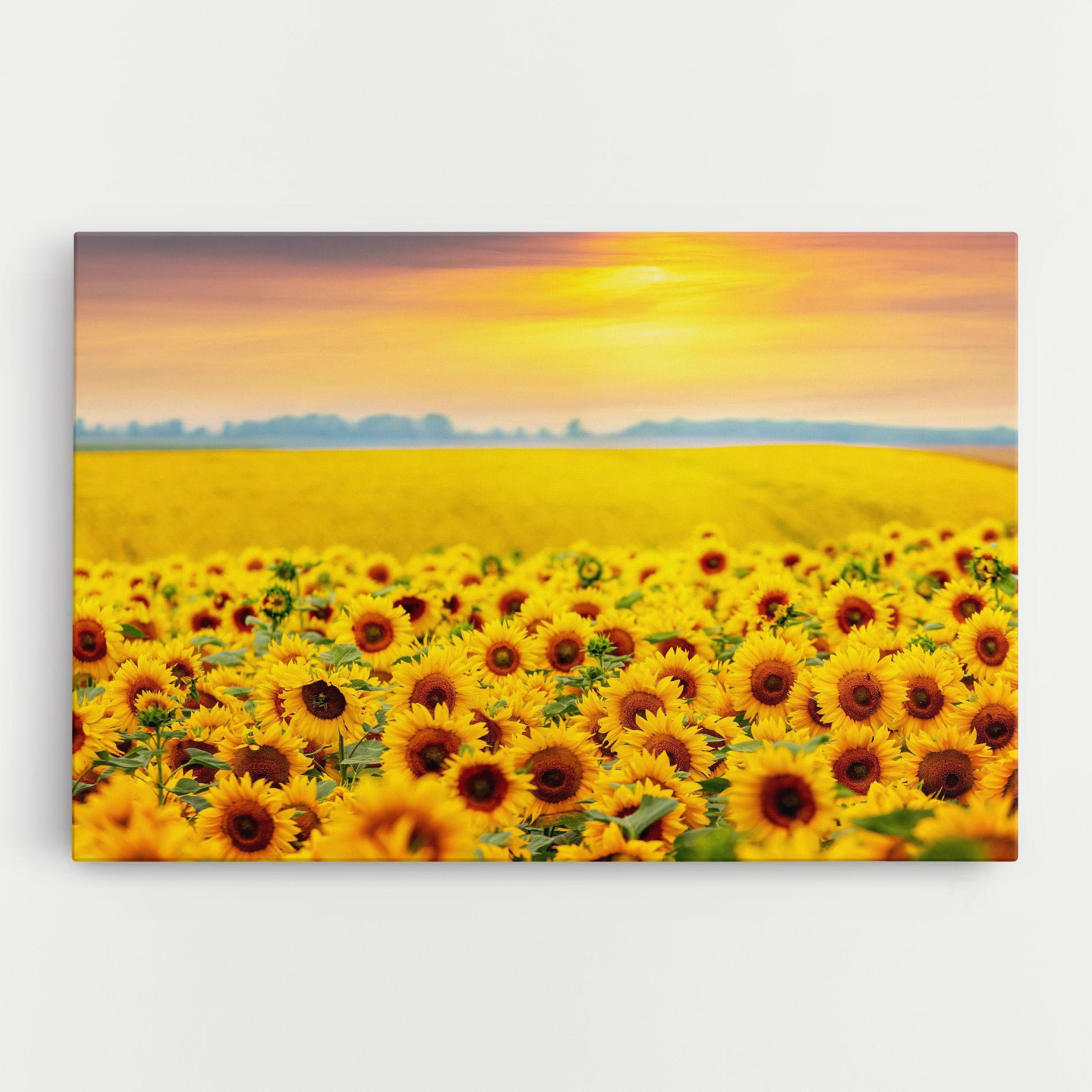Leinwandbild Yellow Sunflowers mockup 0