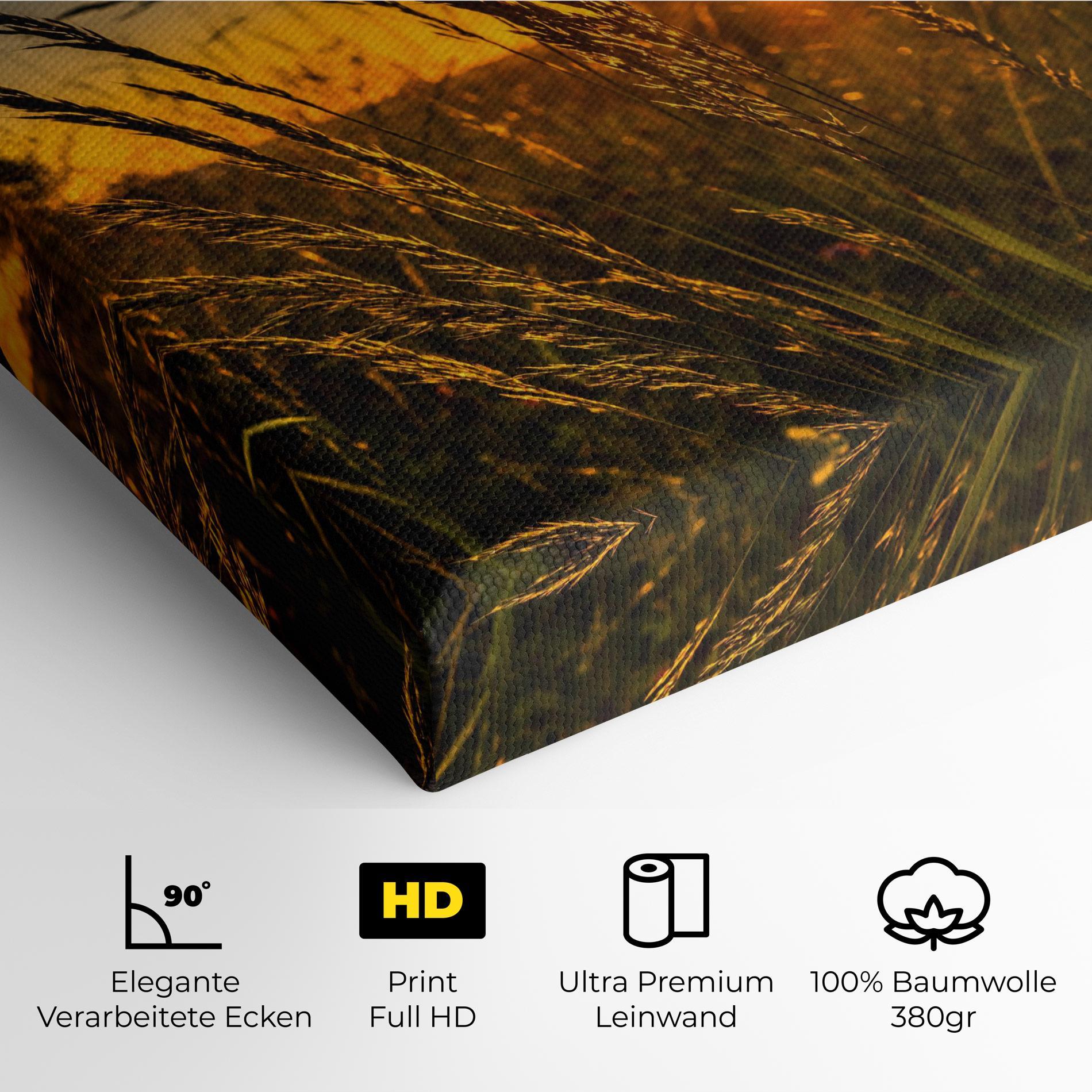 Leinwandbild Wheat Sunset mockup 4