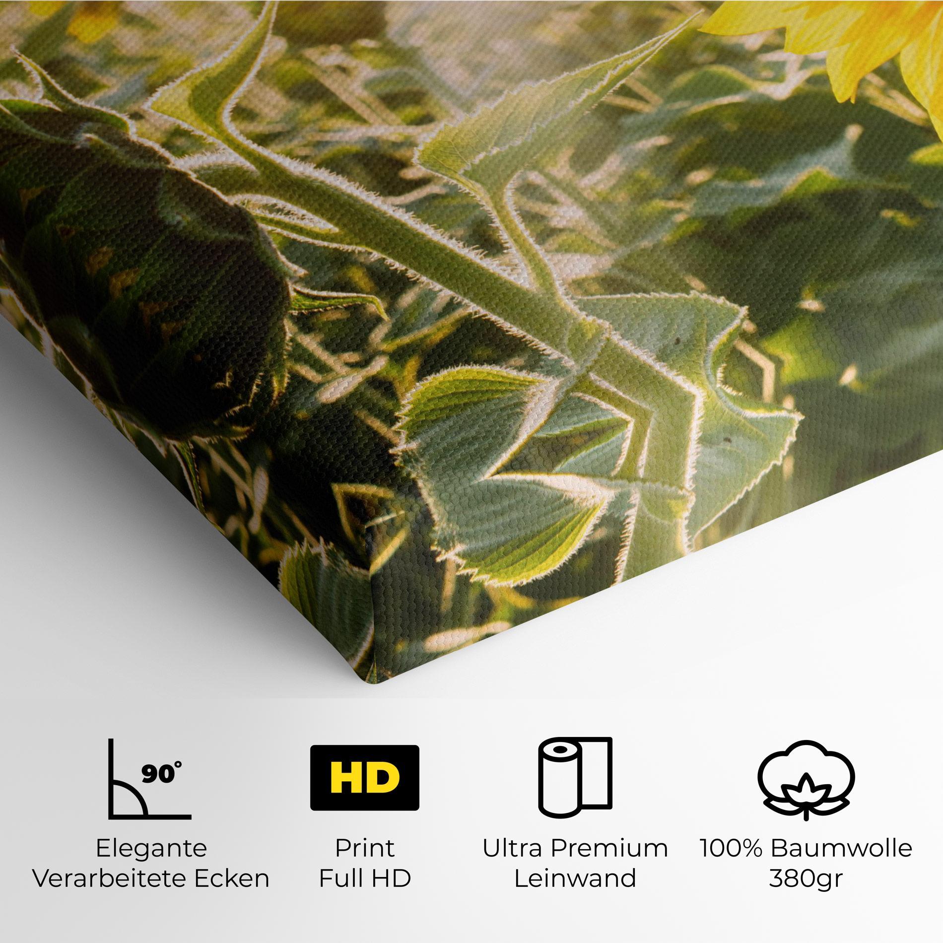 Leinwandbild Yellow Sun Flower mockup 4