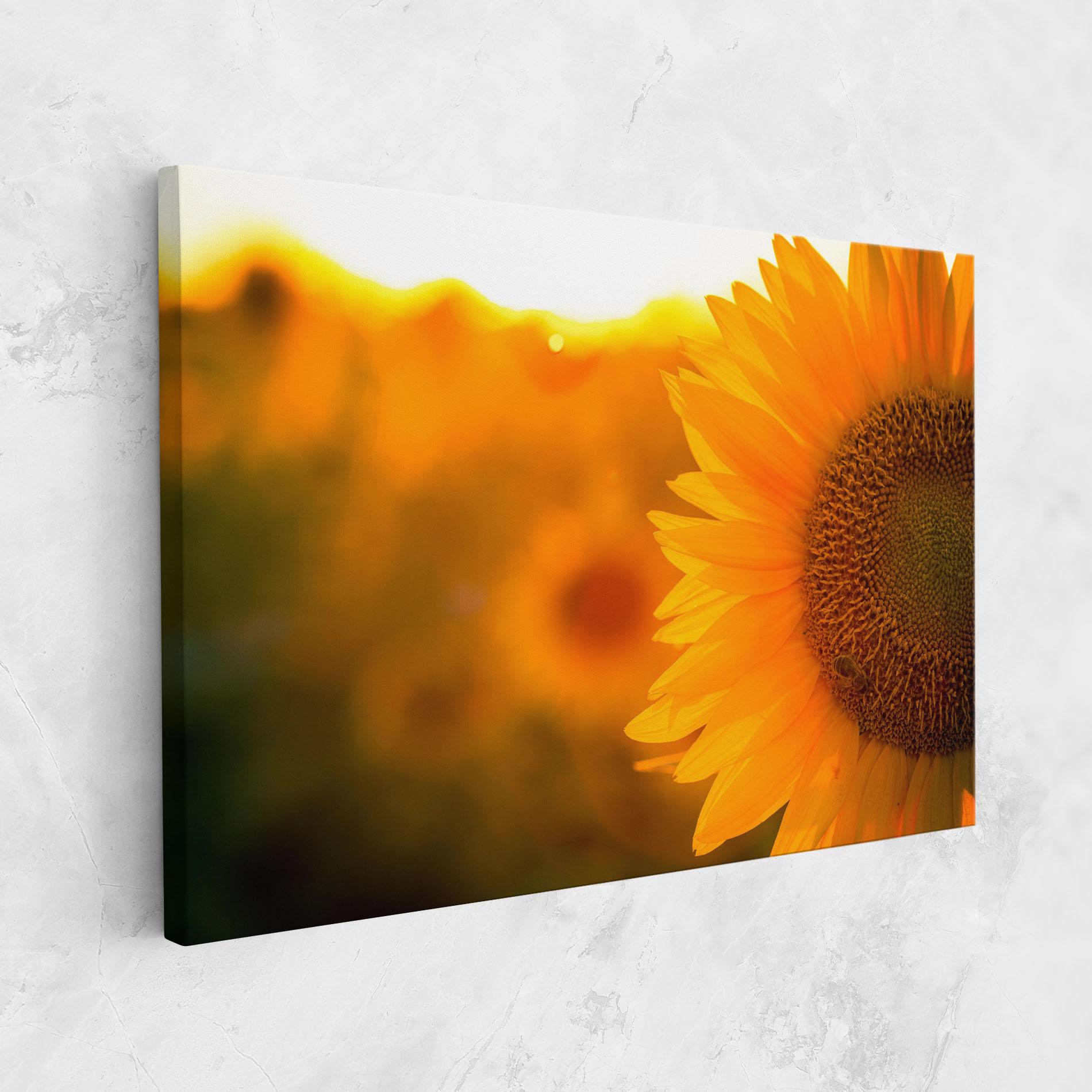 Leinwandbild Sunflower mockup 1
