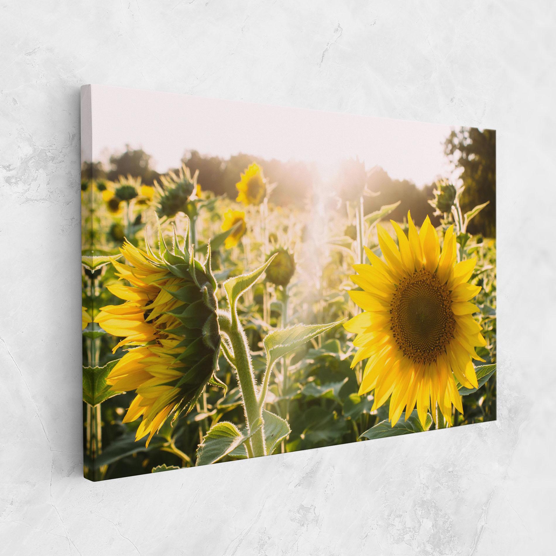 Leinwandbild Yellow Sun Flower mockup 1