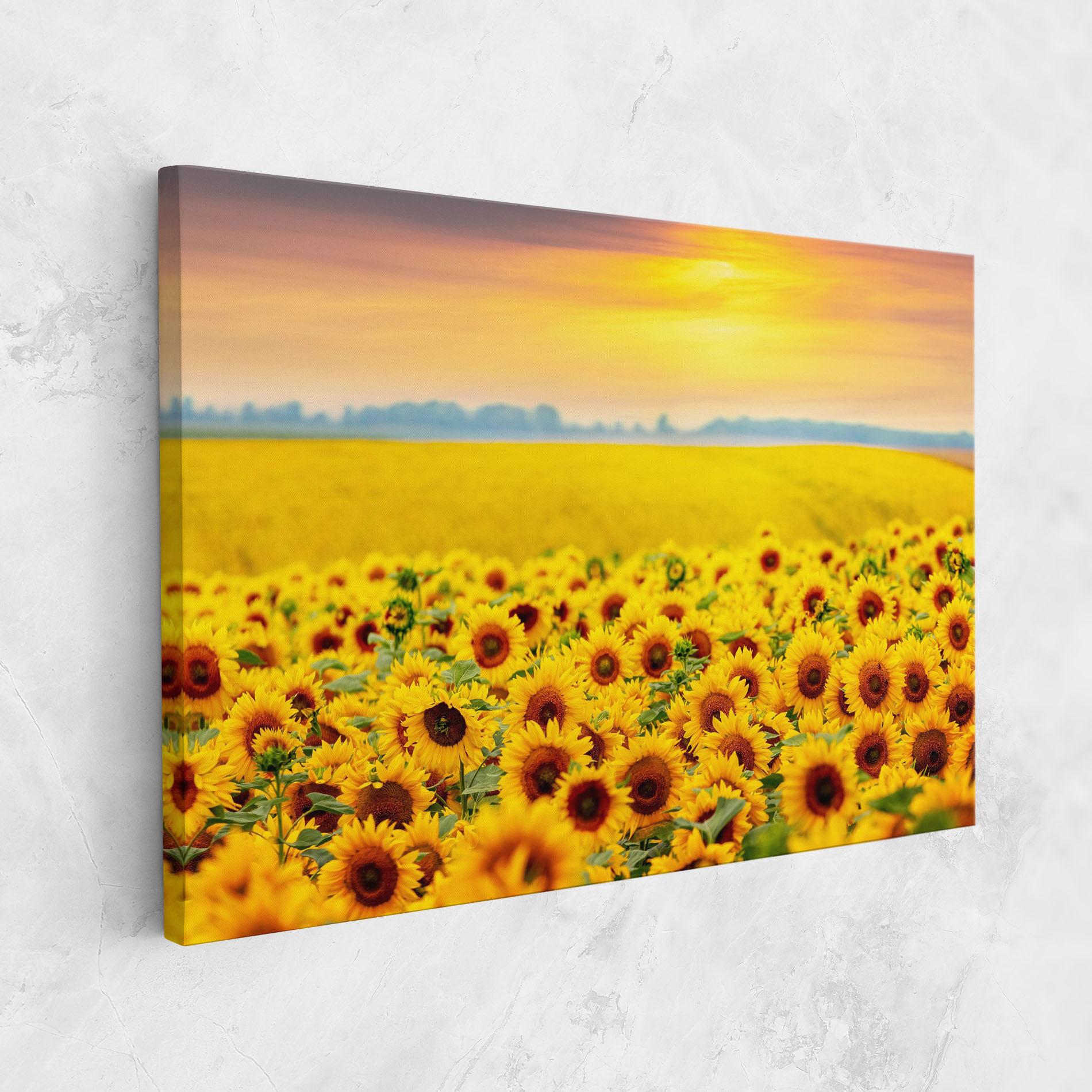 Leinwandbild Yellow Sunflowers mockup 1