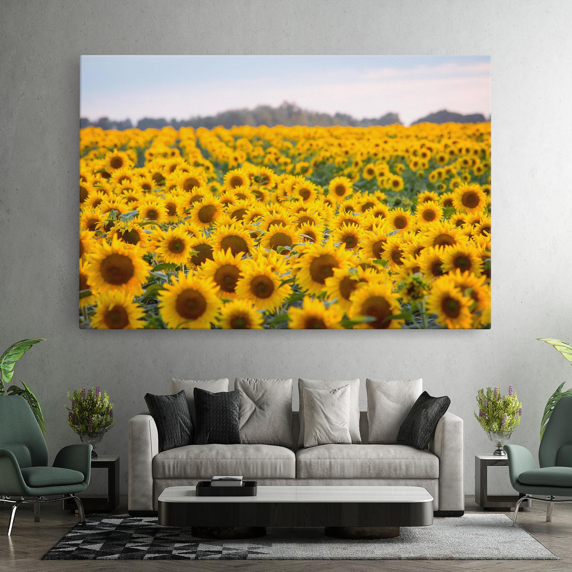 Leinwandbild Blooming Sunflowers mockup 7