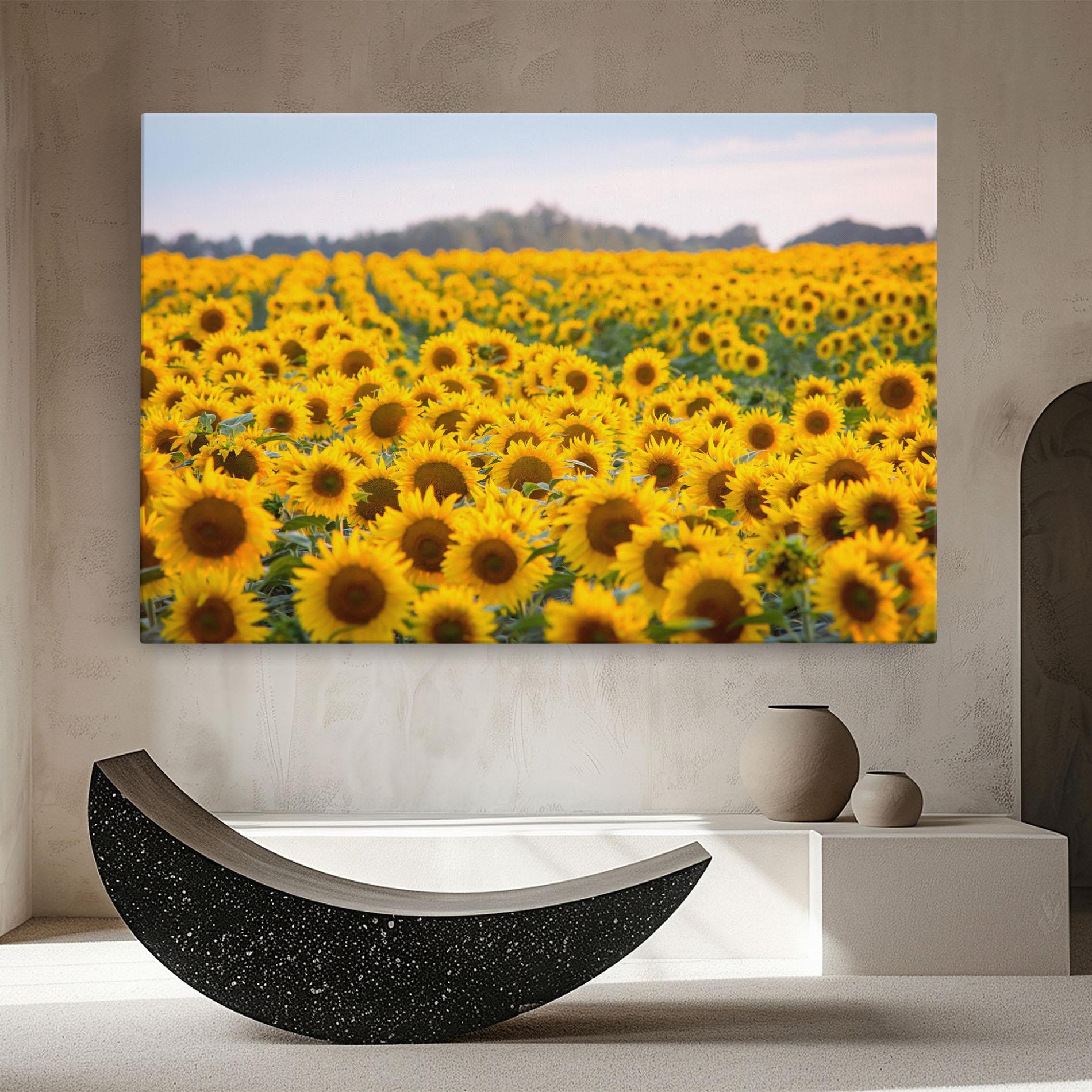 Leinwandbild Blooming Sunflowers mockup 8