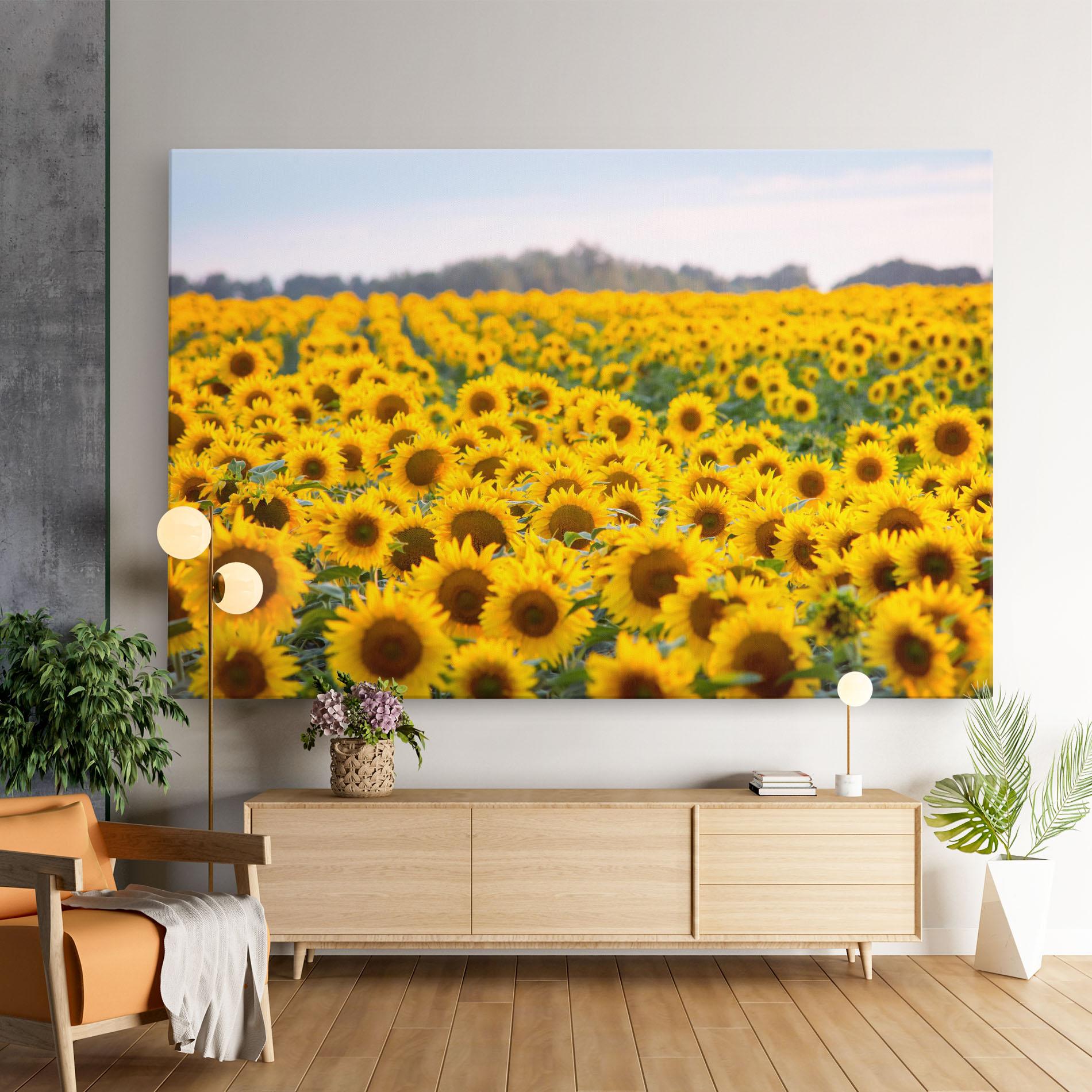 Leinwandbild Blooming Sunflowers mockup 9