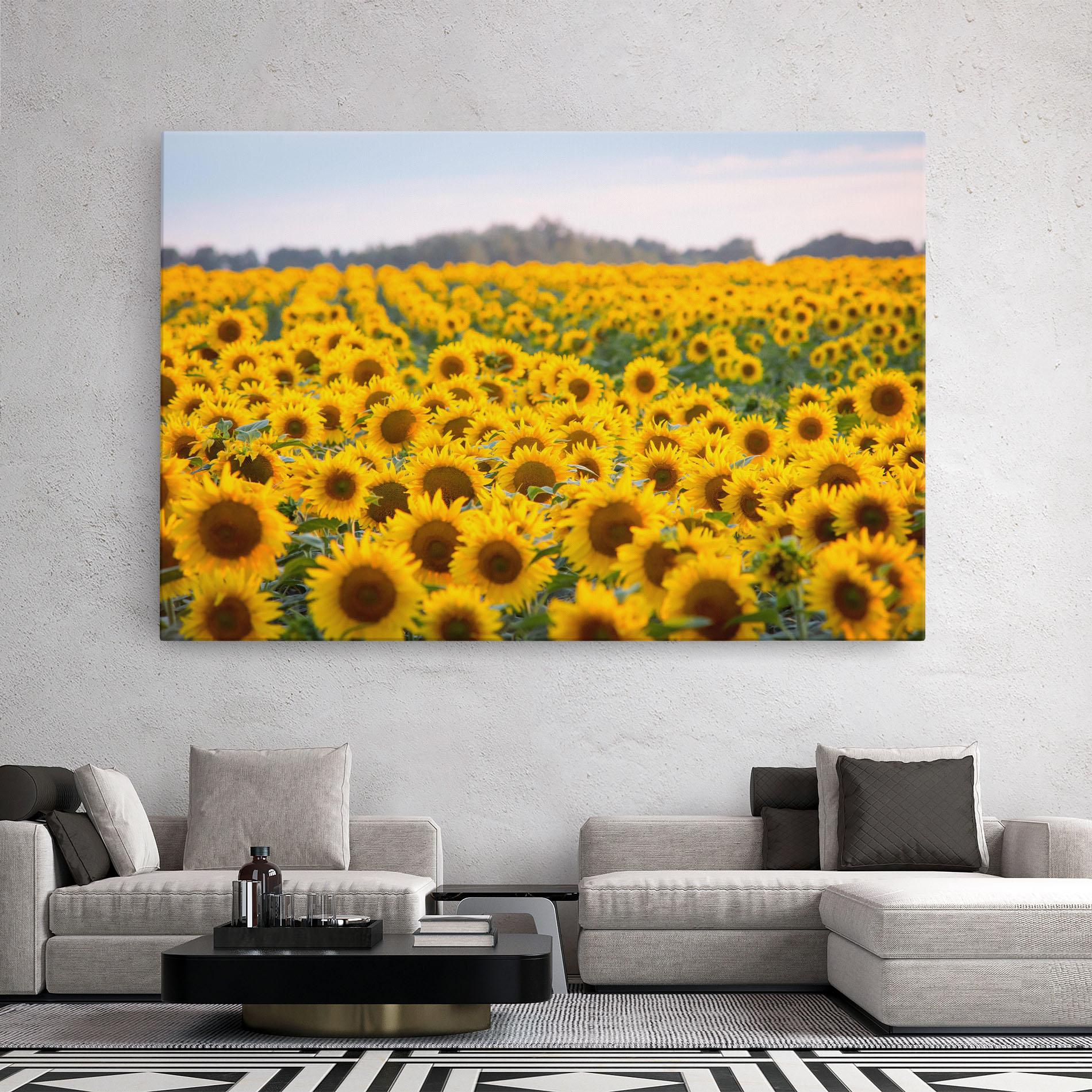 Leinwandbild Blooming Sunflowers mockup 2