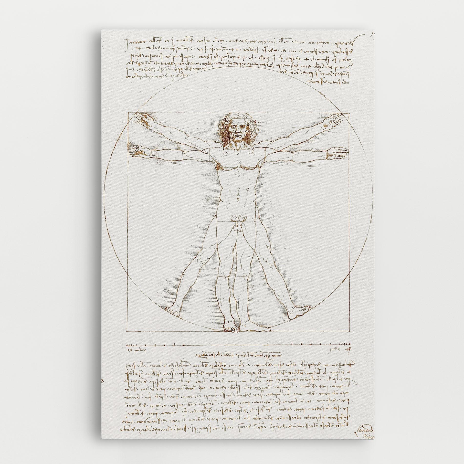 Leinwandbild Leonardo Da Vinci's Vitruvian Man mockup 0