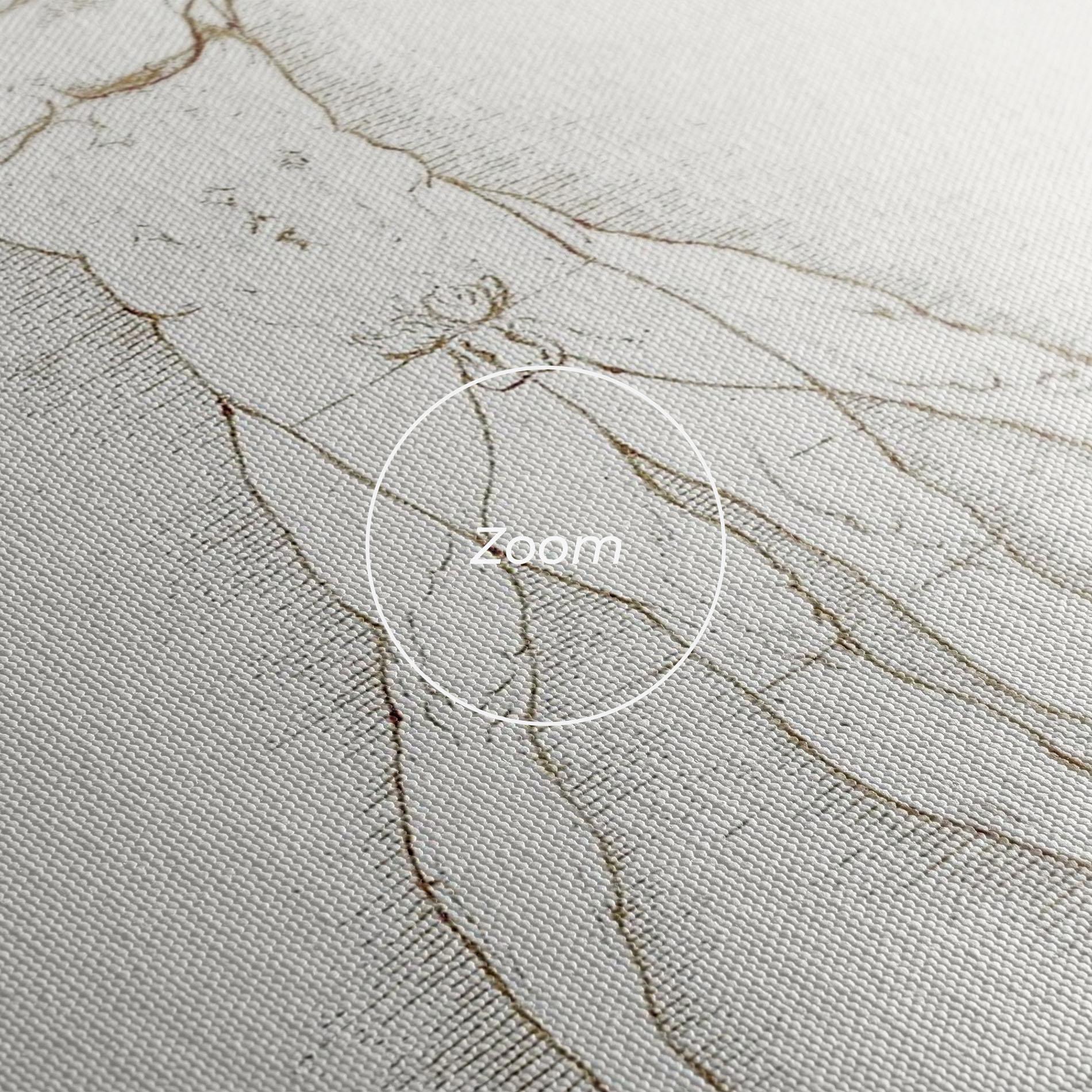 Leinwandbild Leonardo Da Vinci's Vitruvian Man mockup 3