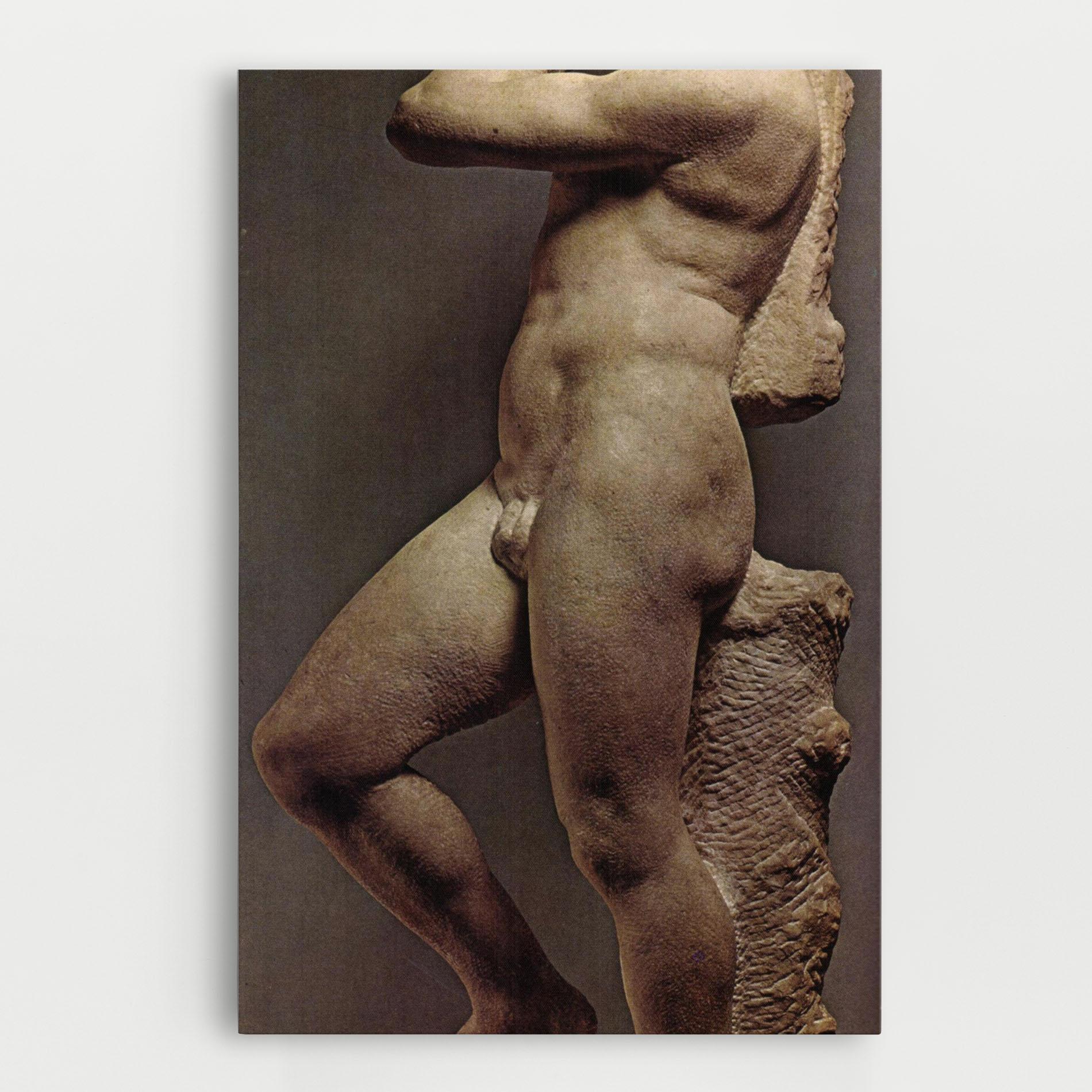 Leinwandbild Apollino mockup 0