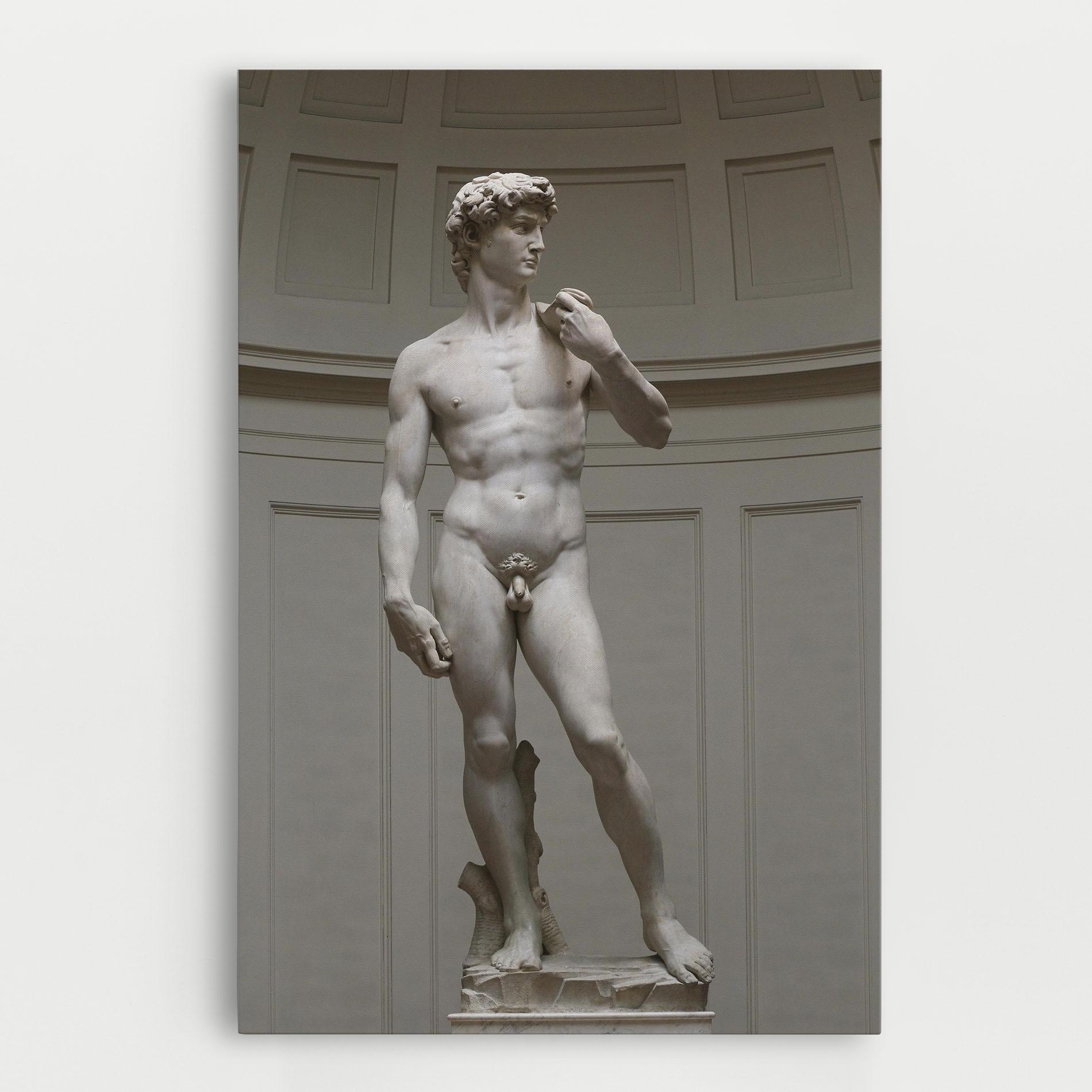Leinwandbild Michelangelo Statue mockup 0