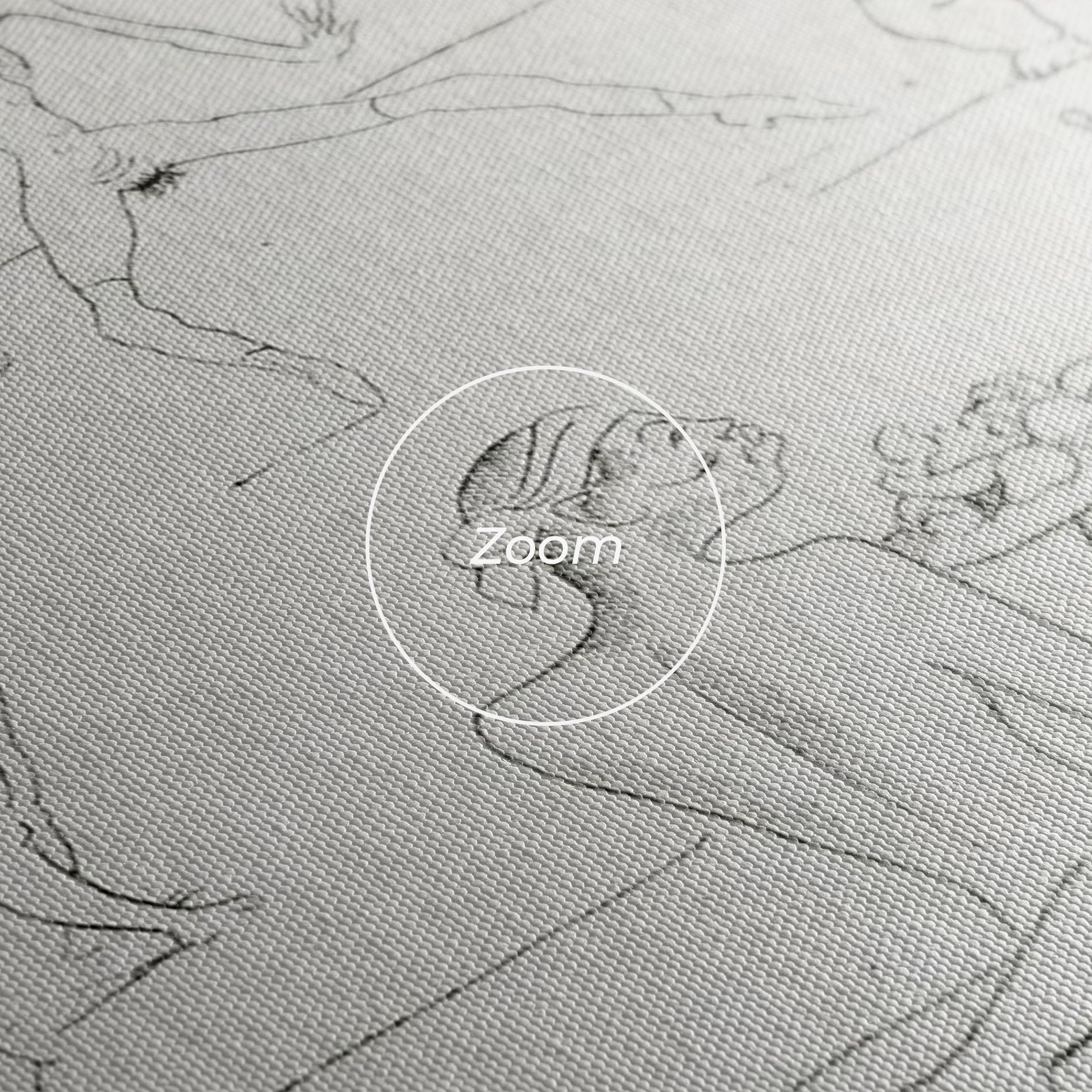 Salome mockup 3