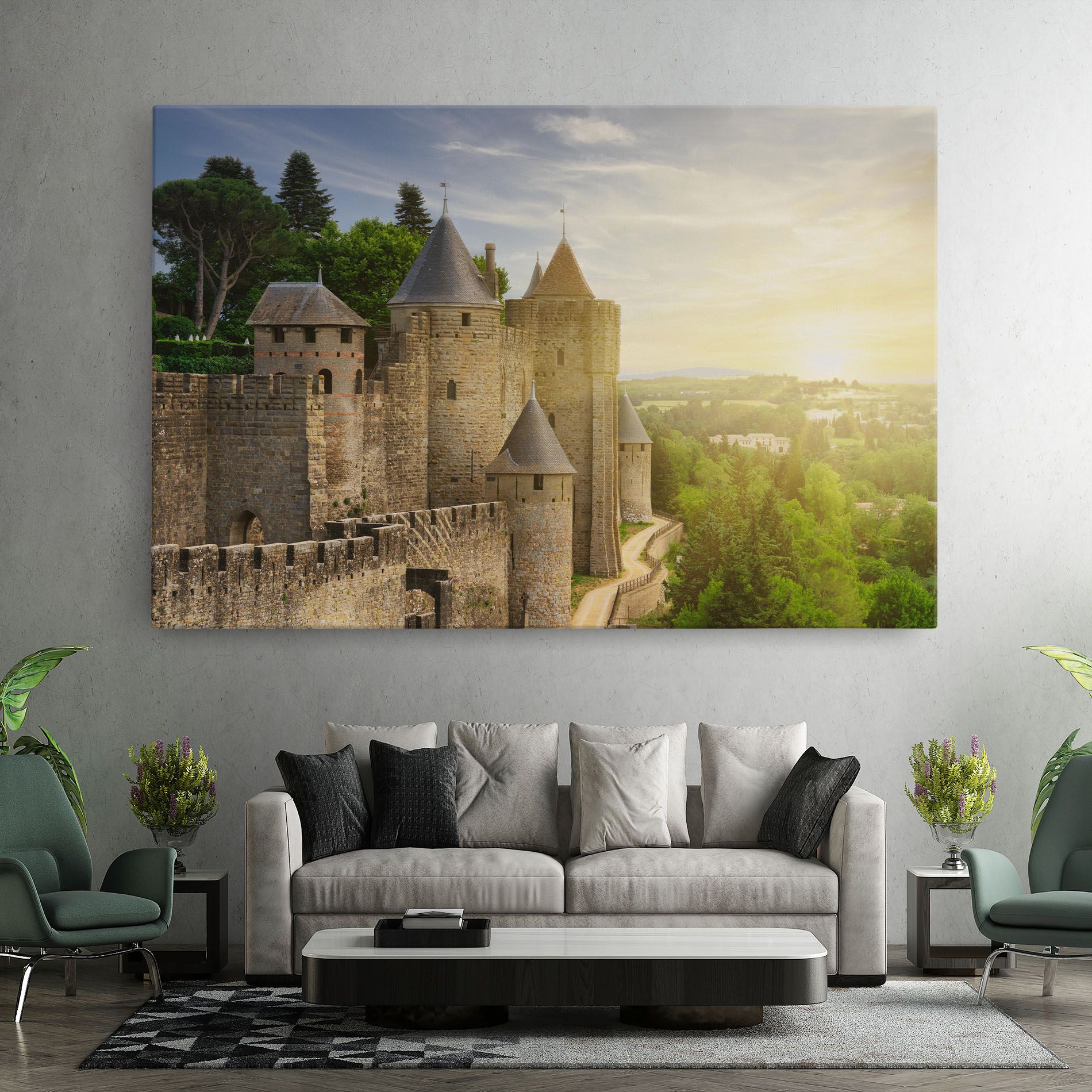 Carcassonne France mockup 7