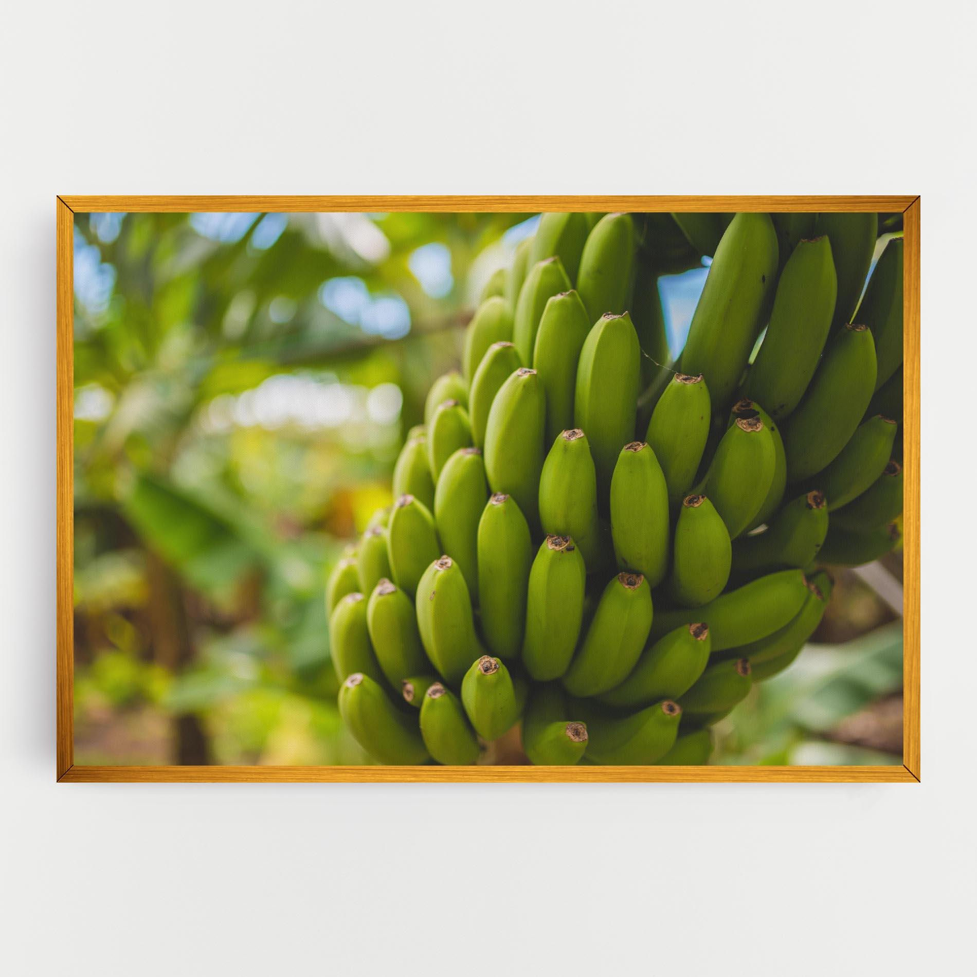 Leinwandbild Green Banana mockup 0