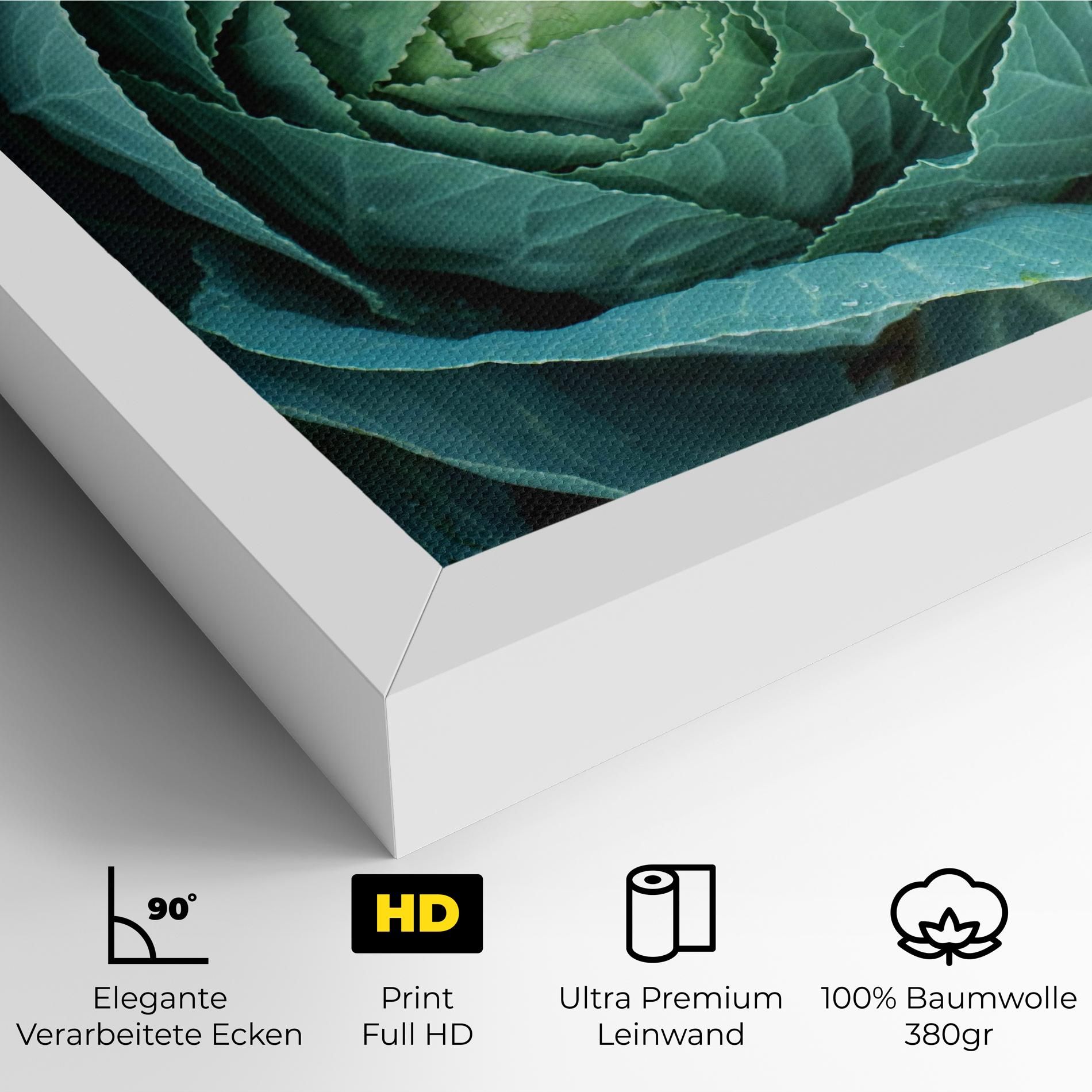 Blue Lettuce mockup 4