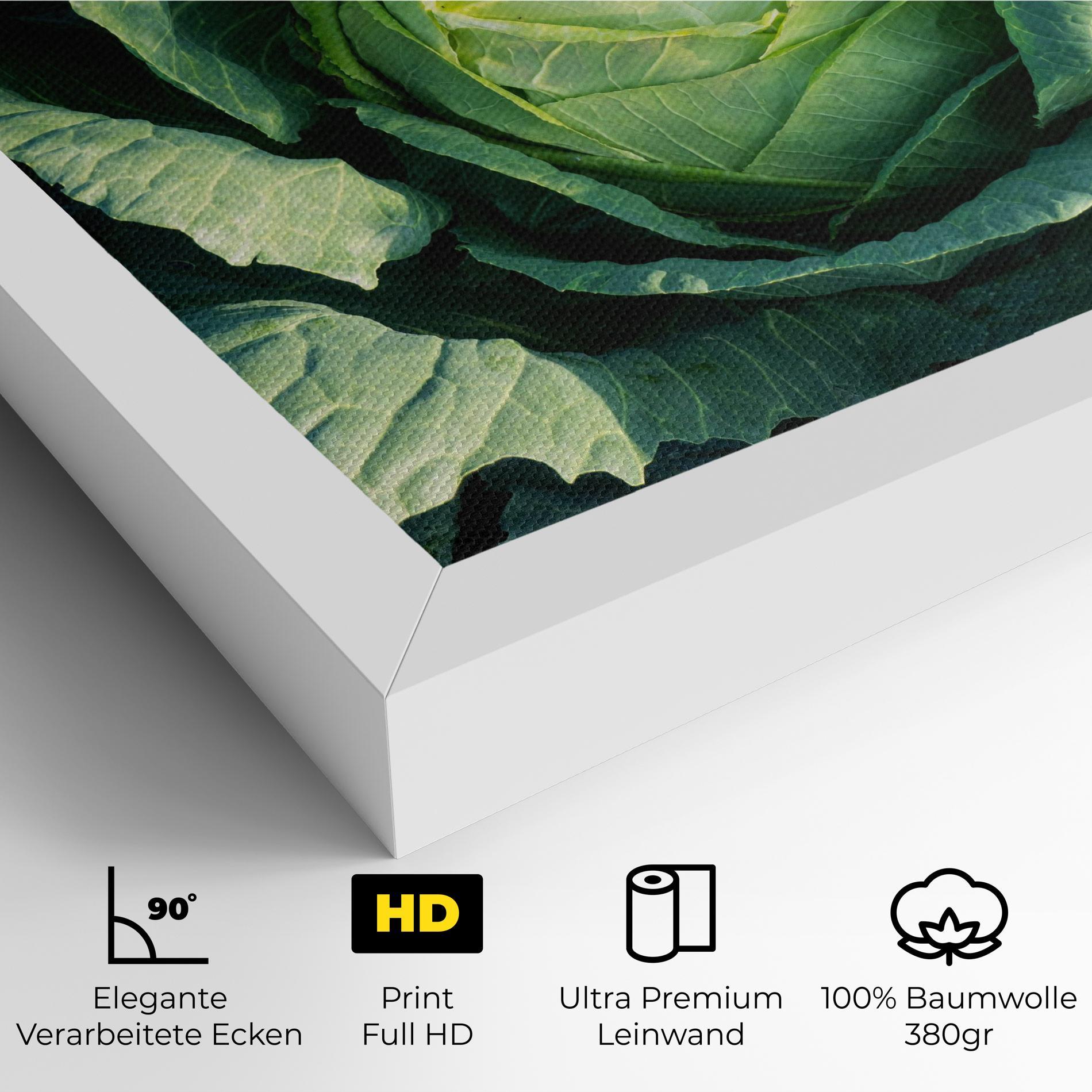 Leinwandbild Green Lettuce mockup 4