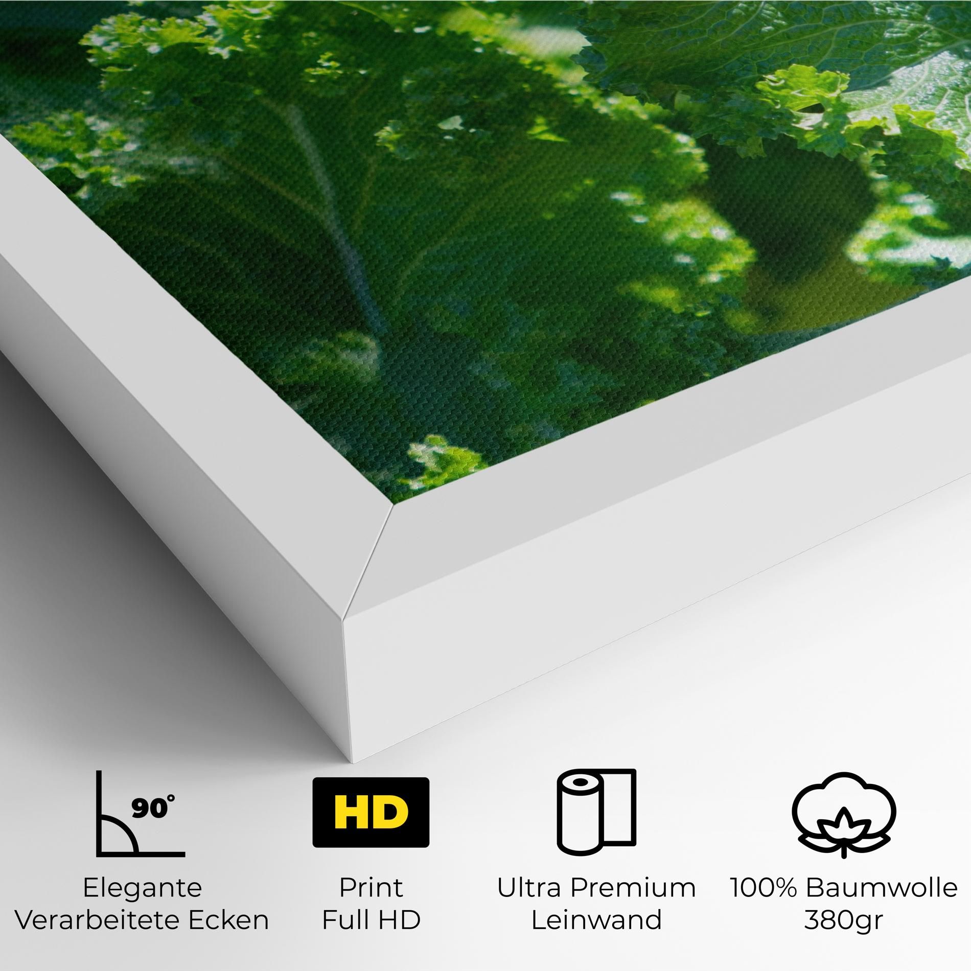 Lettuce View mockup 4