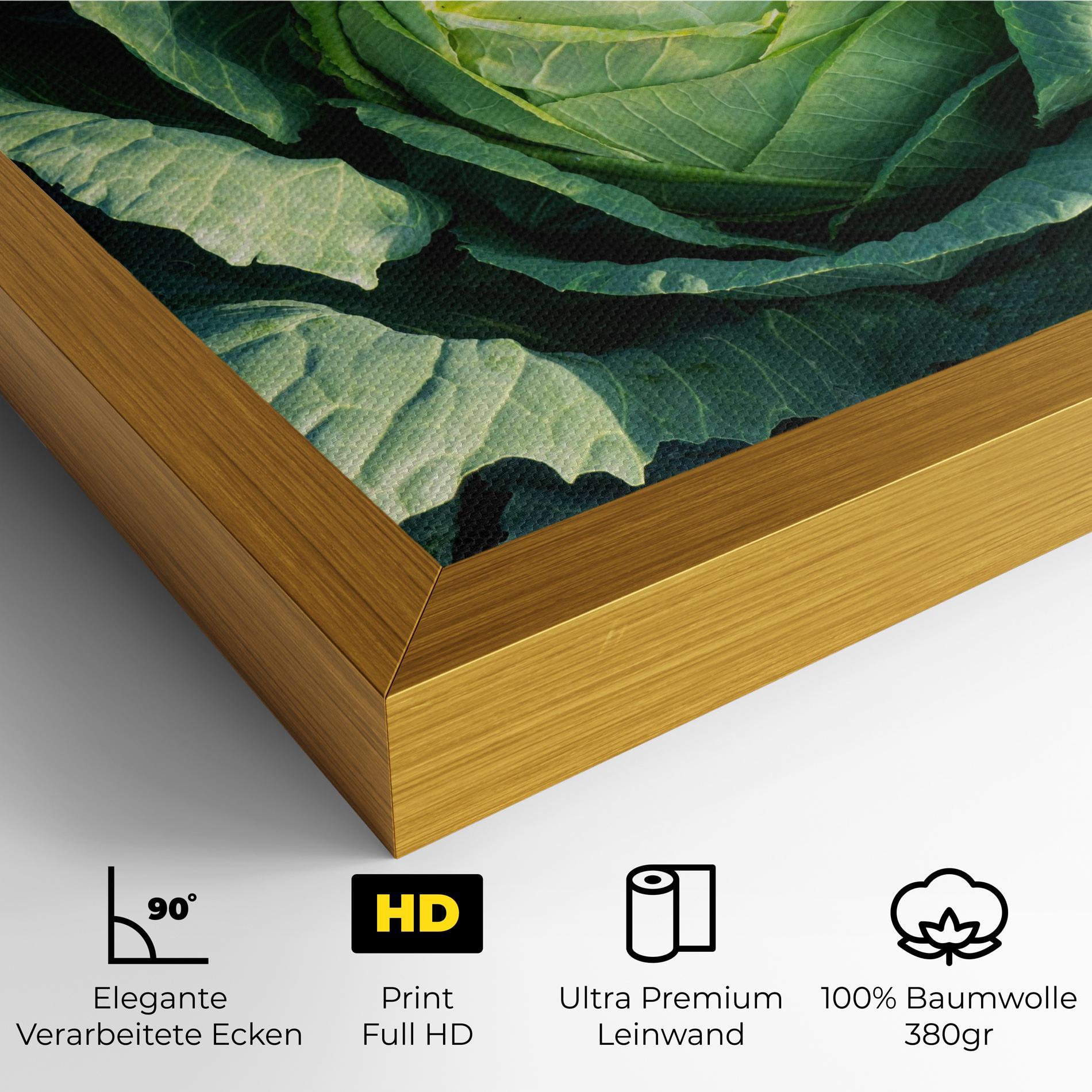 Leinwandbild Green Lettuce mockup 4
