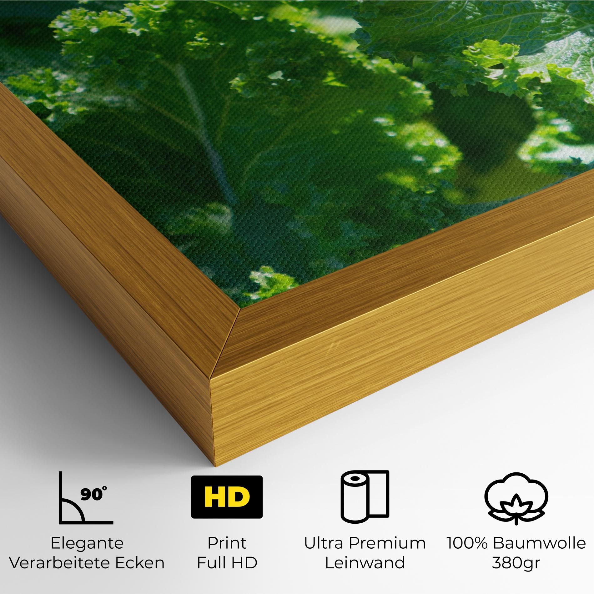 Lettuce View mockup 4