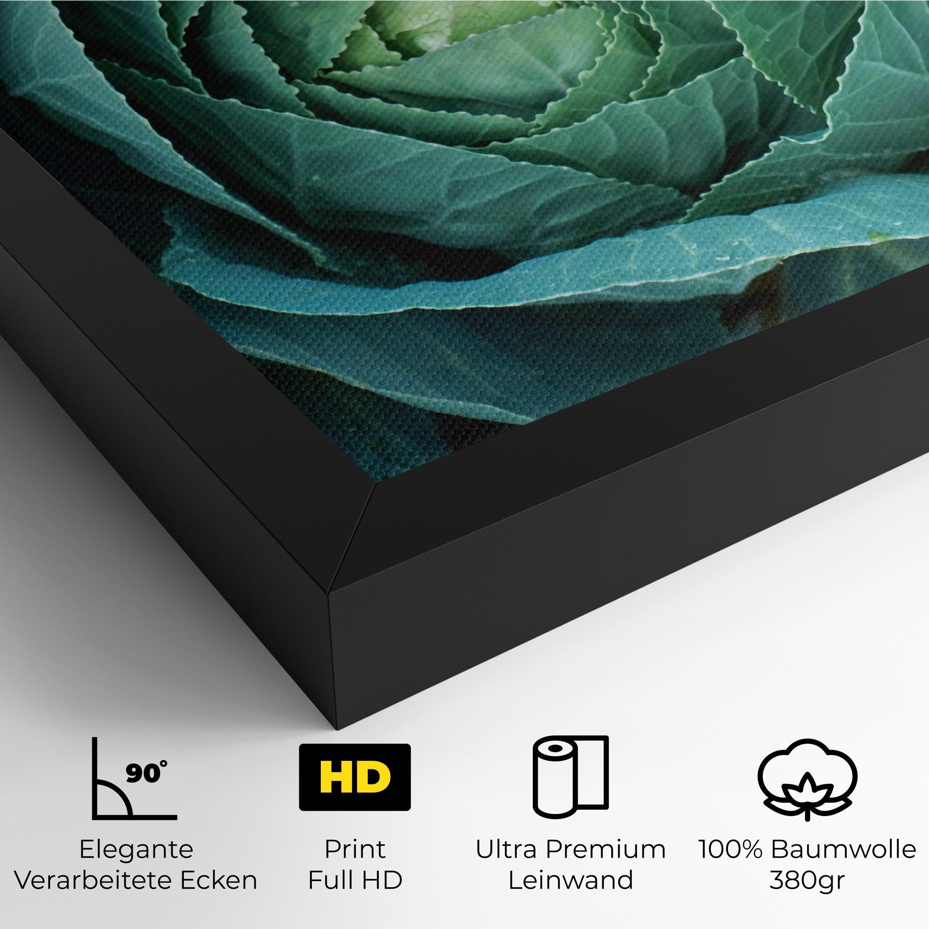 Blue Lettuce mockup 4