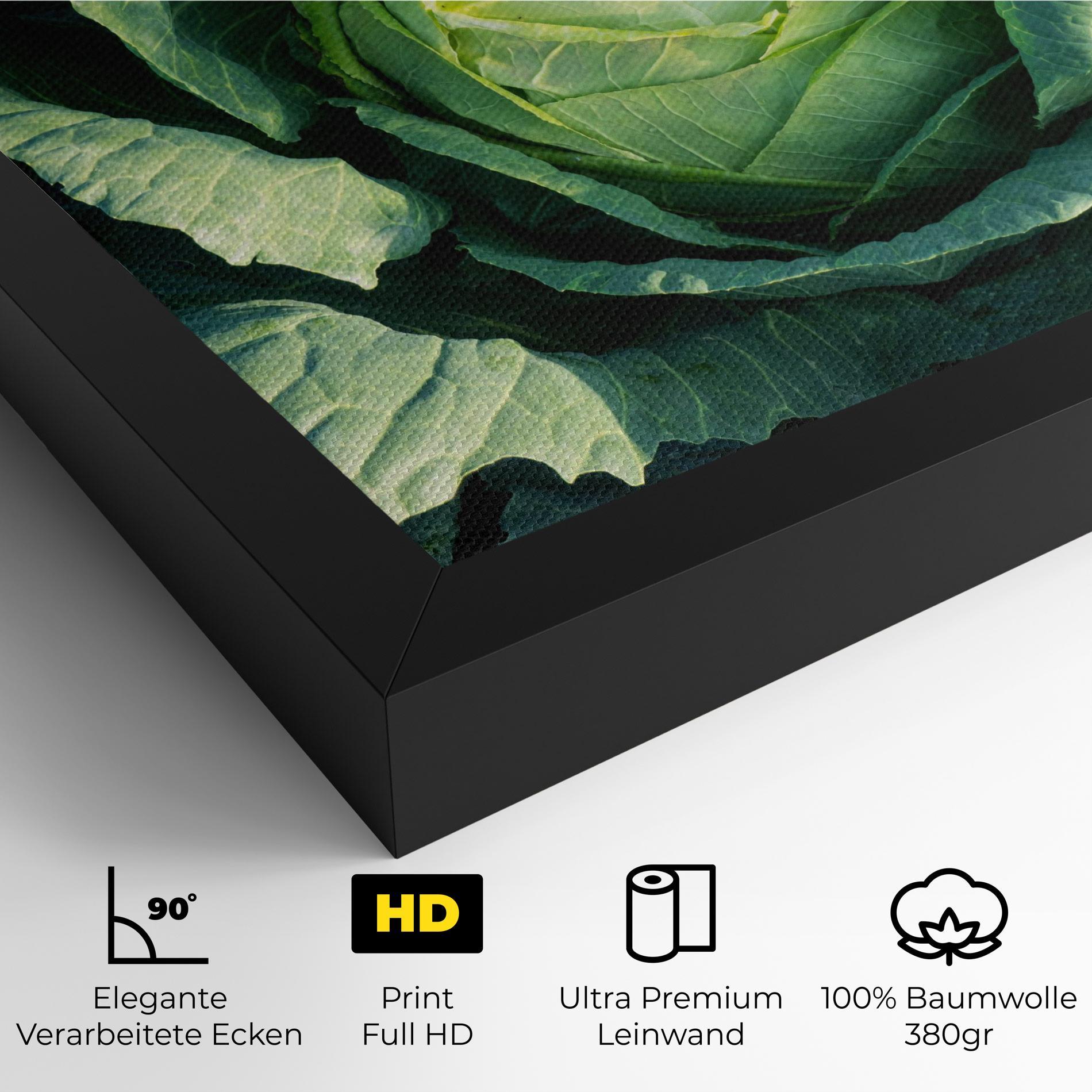 Leinwandbild Green Lettuce mockup 4