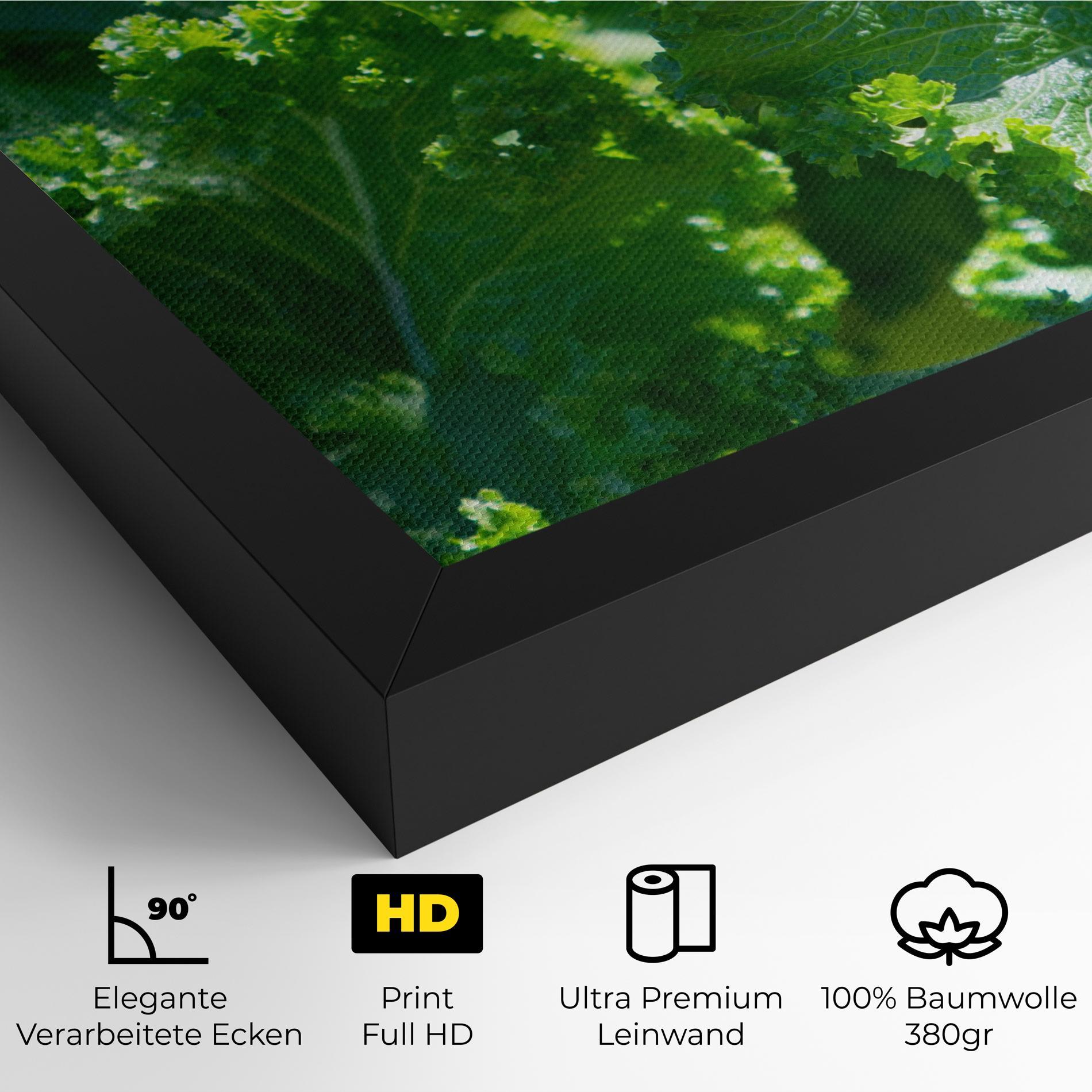 Leinwandbild Lettuce View mockup 4