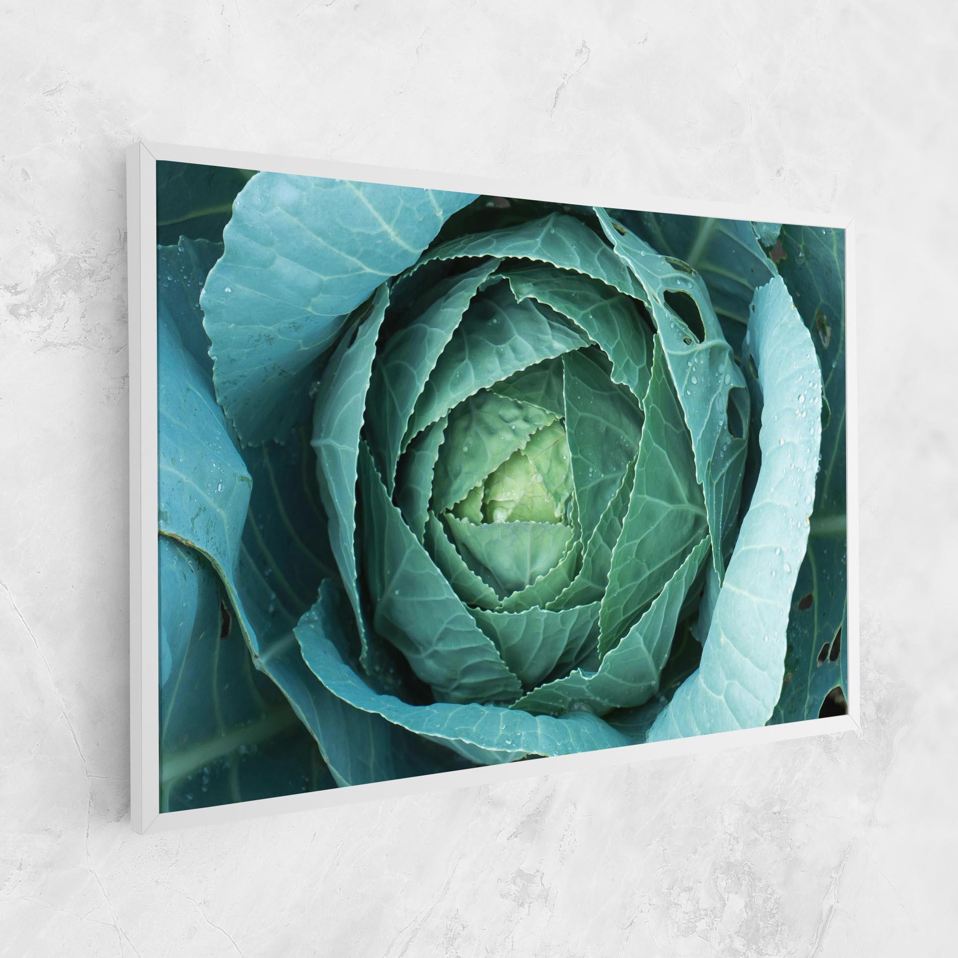 Leinwandbild Blue Lettuce mockup 1