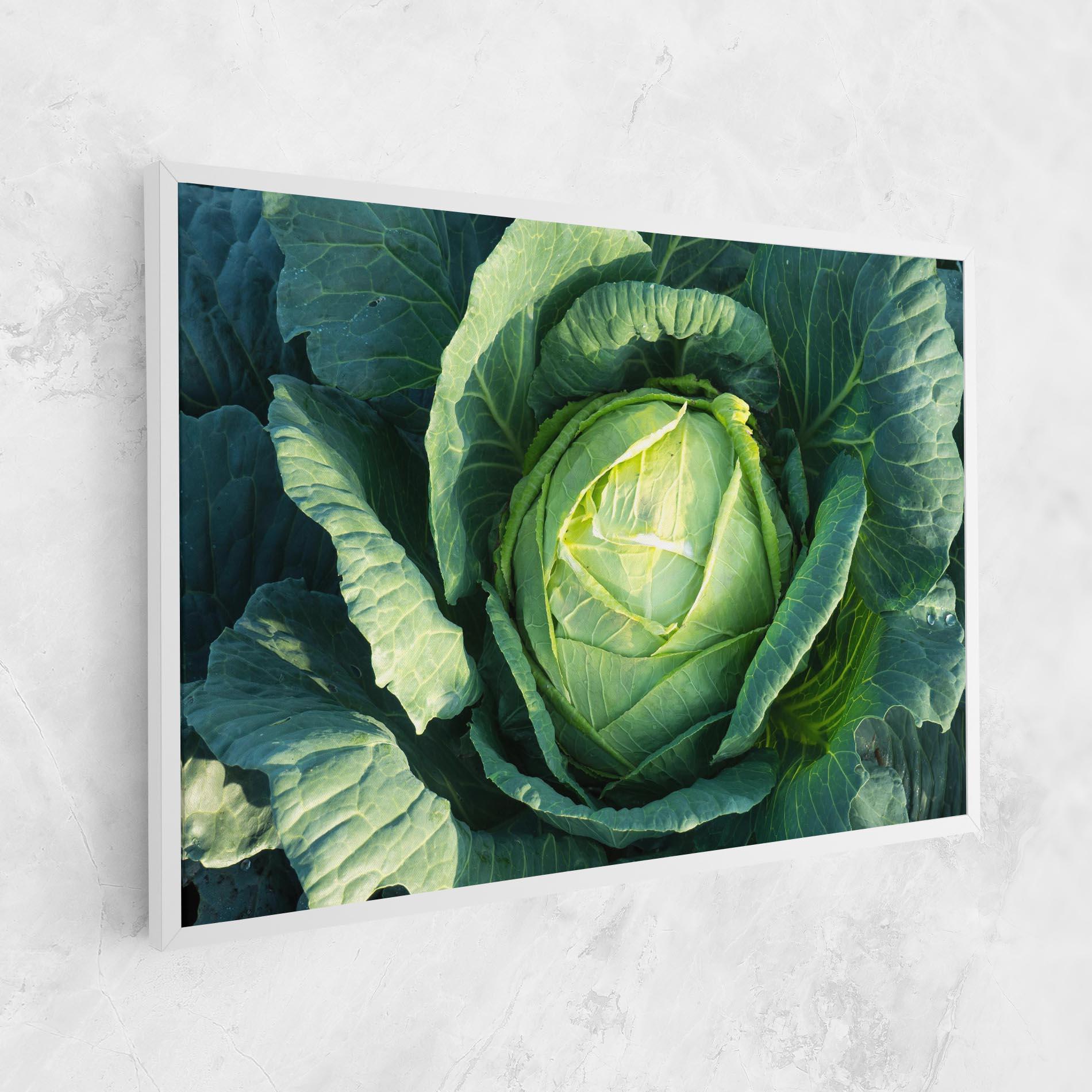 Leinwandbild Green Lettuce mockup 1