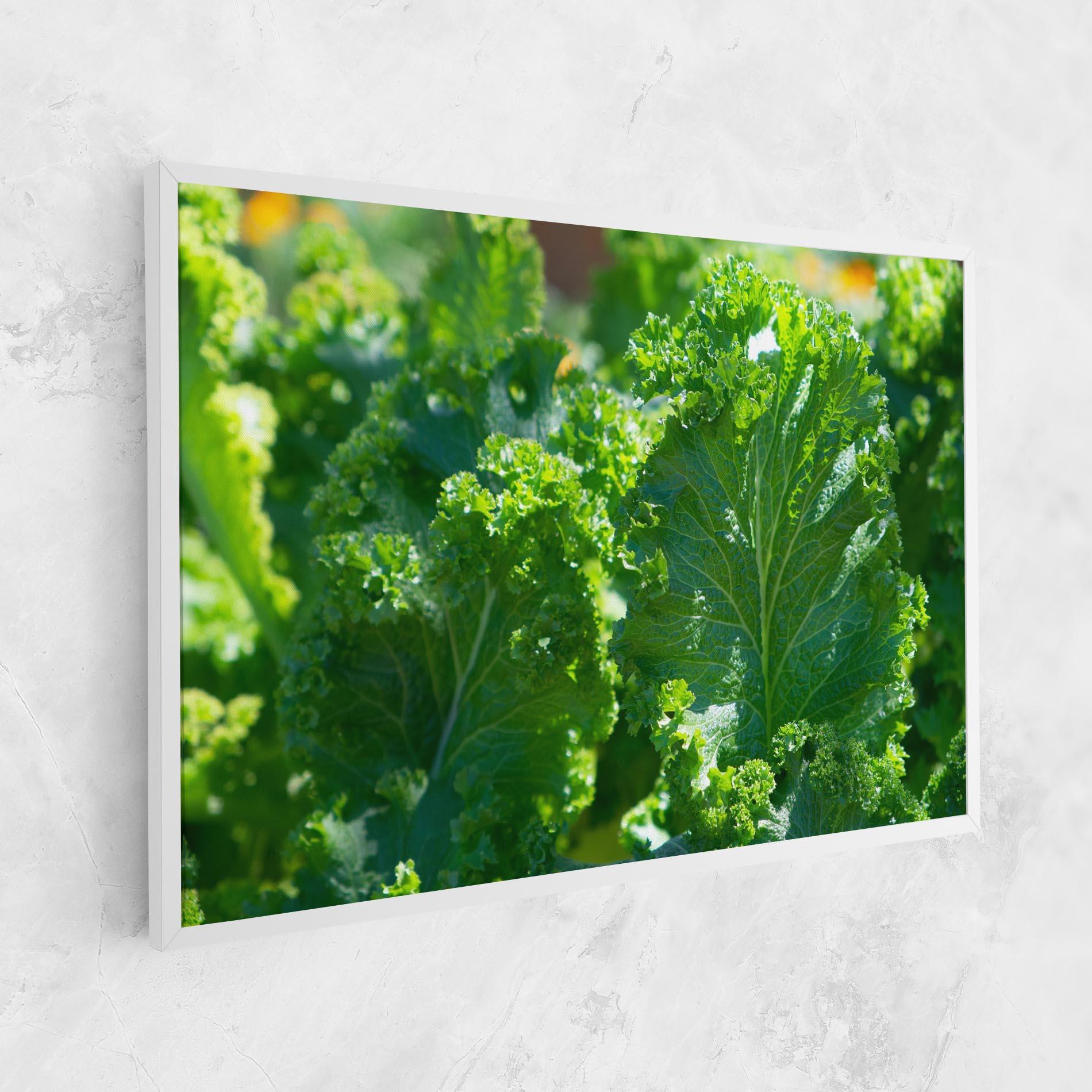 Leinwandbild Lettuce View mockup 1