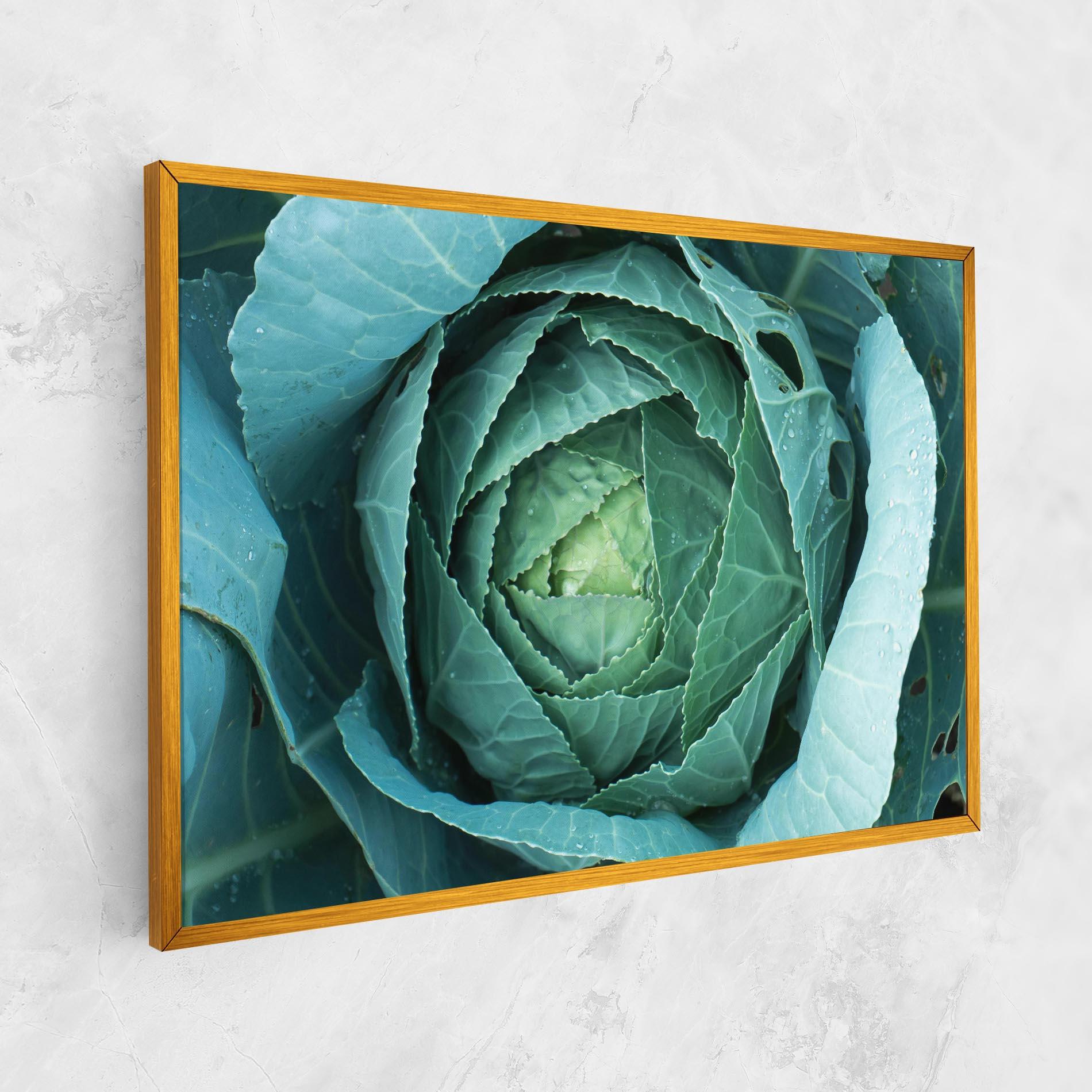 Leinwandbild Blue Lettuce mockup 1