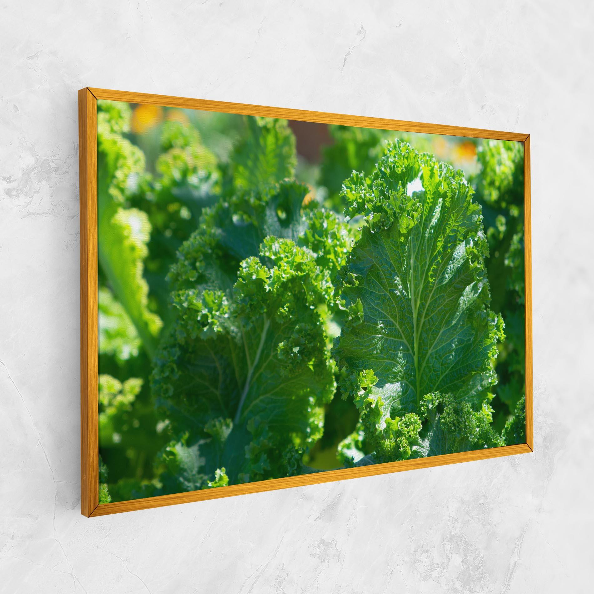 Leinwandbild Lettuce View mockup 1