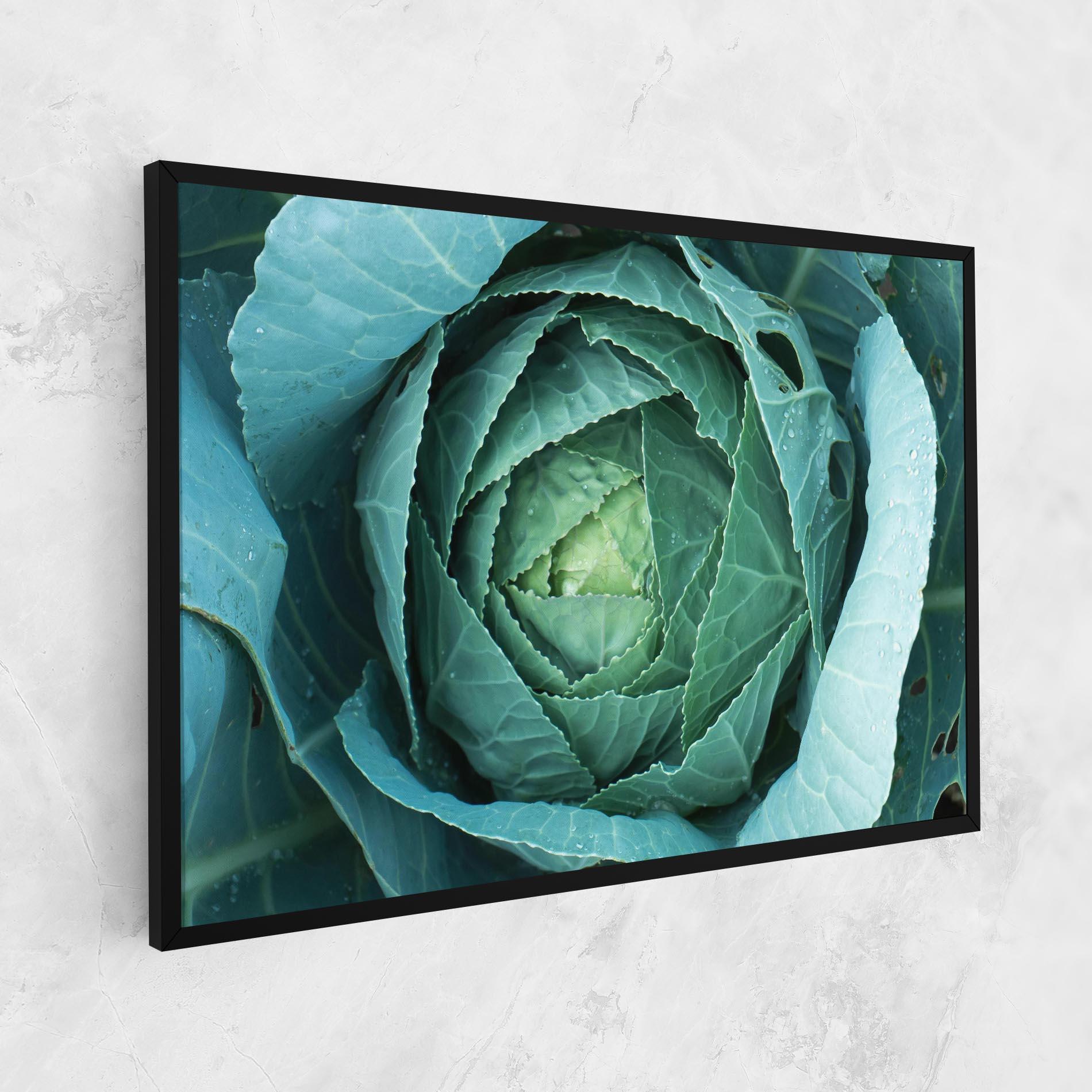 Leinwandbild Blue Lettuce mockup 1