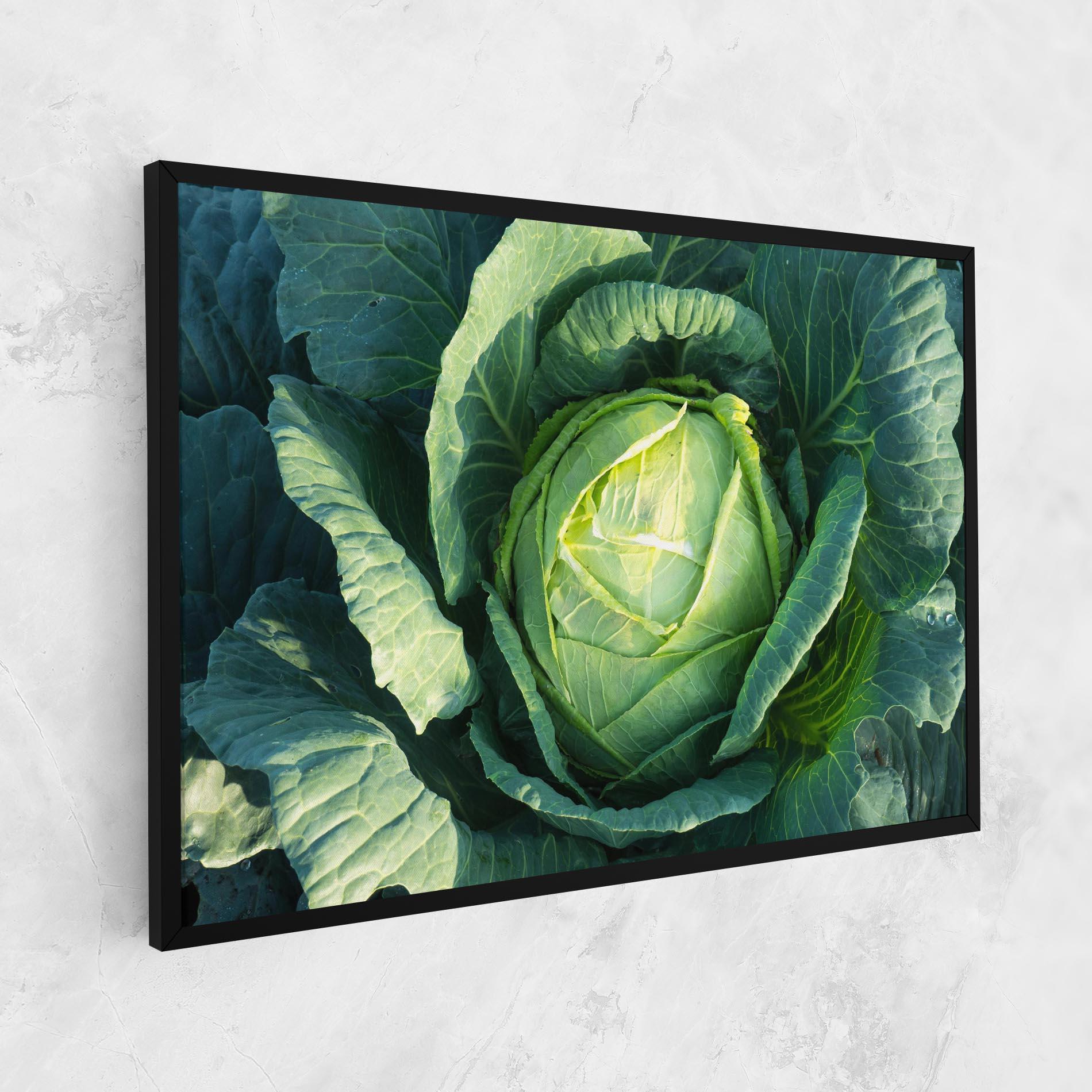 Leinwandbild Green Lettuce mockup 1
