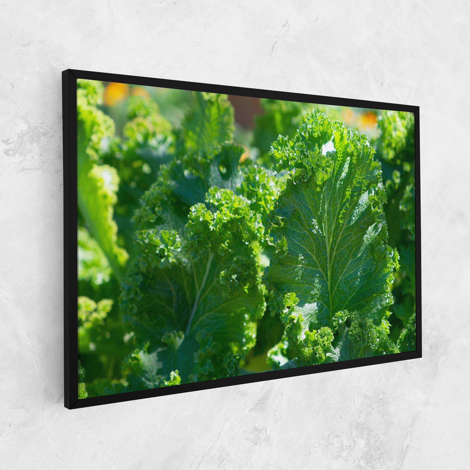 Leinwandbild Lettuce View mockup 1
