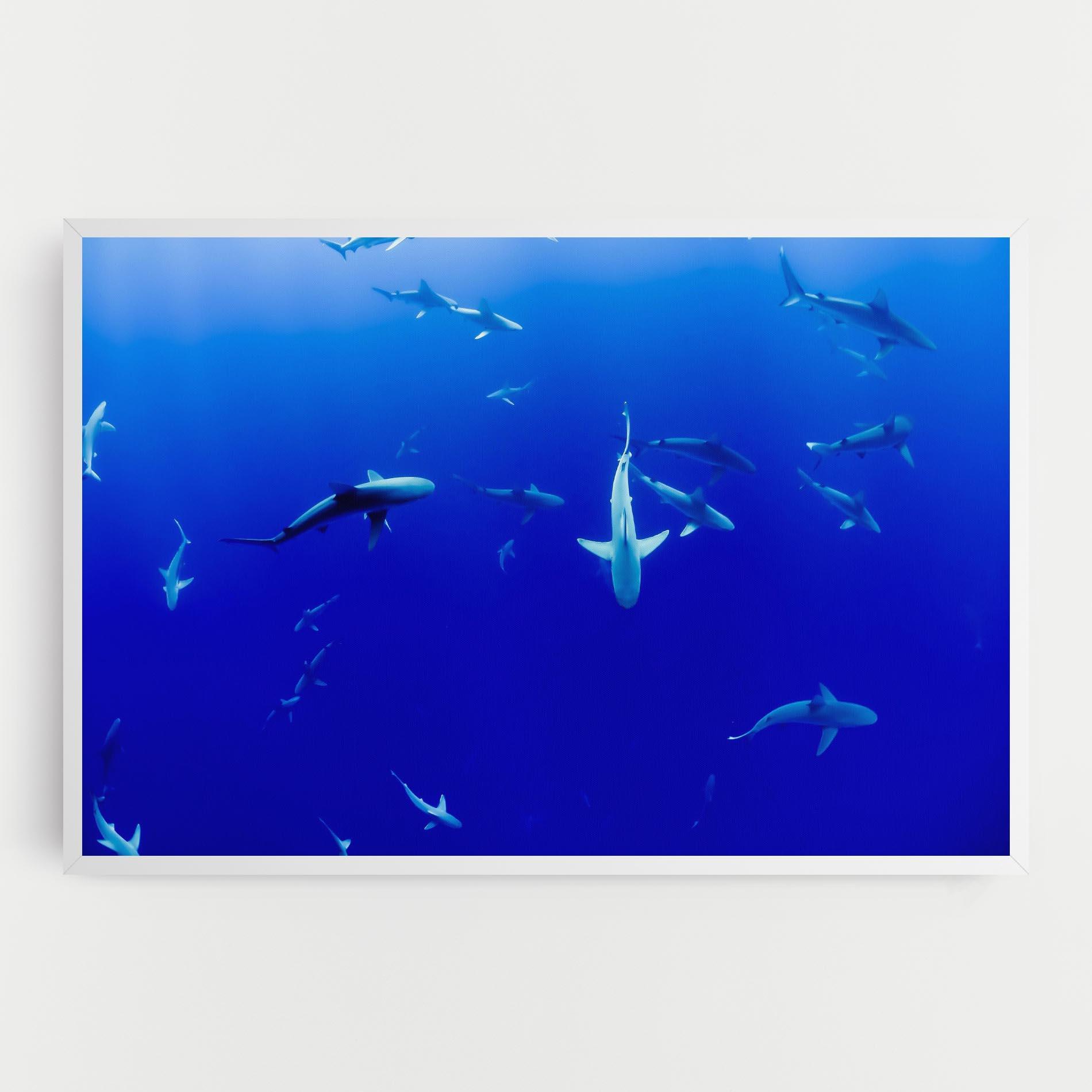 Leinwandbild Baby Sharks mockup 0