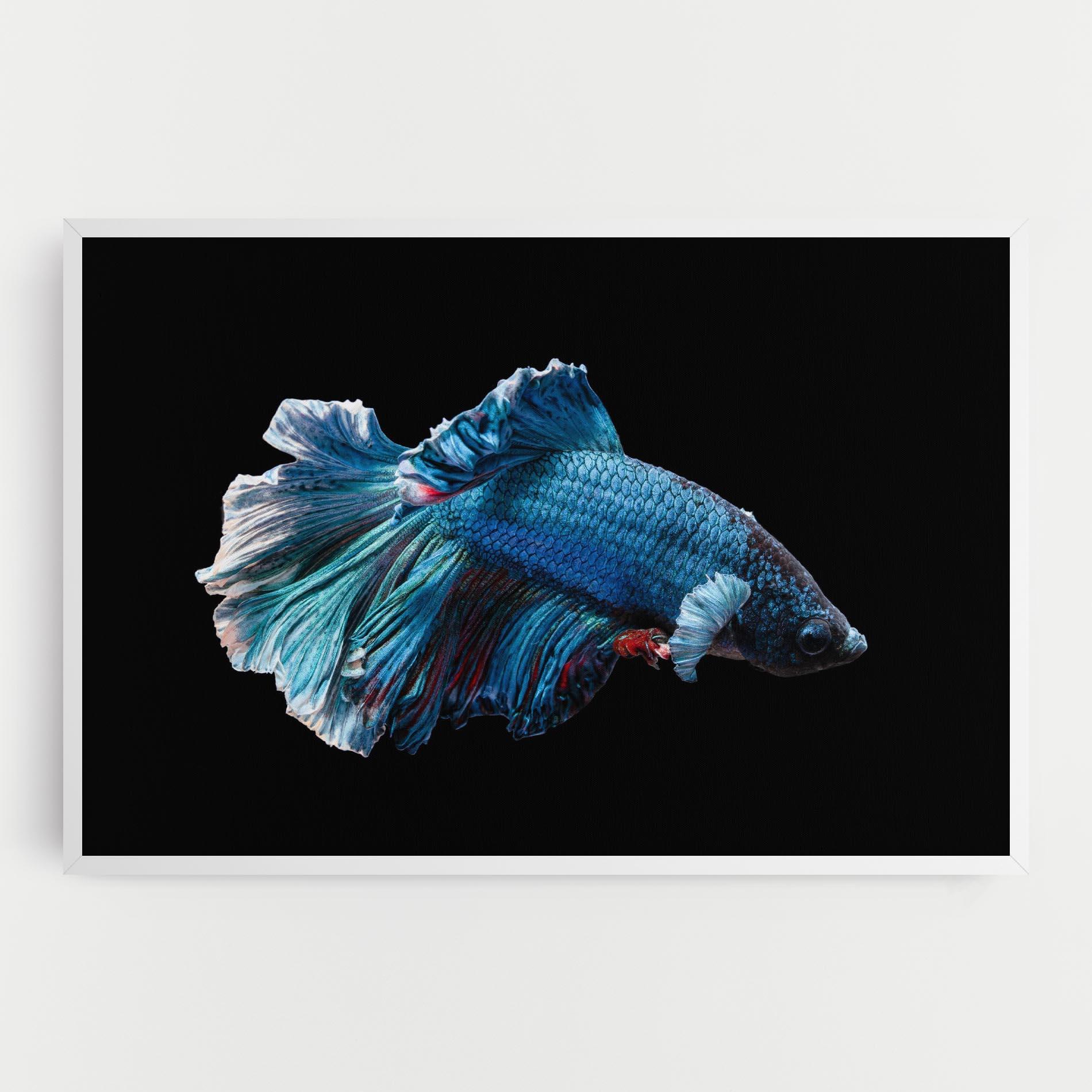 Leinwandbild Blue Betta mockup 0
