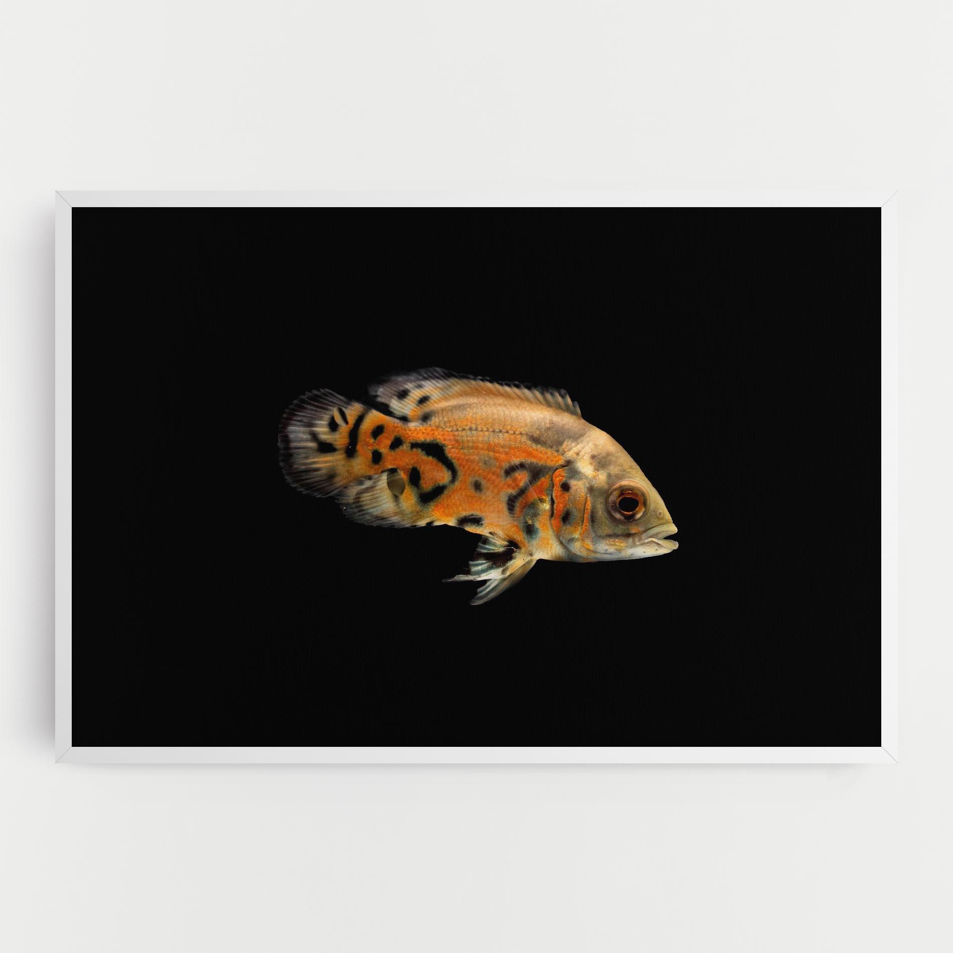 Leinwandbild Cute Brown Fish mockup 0