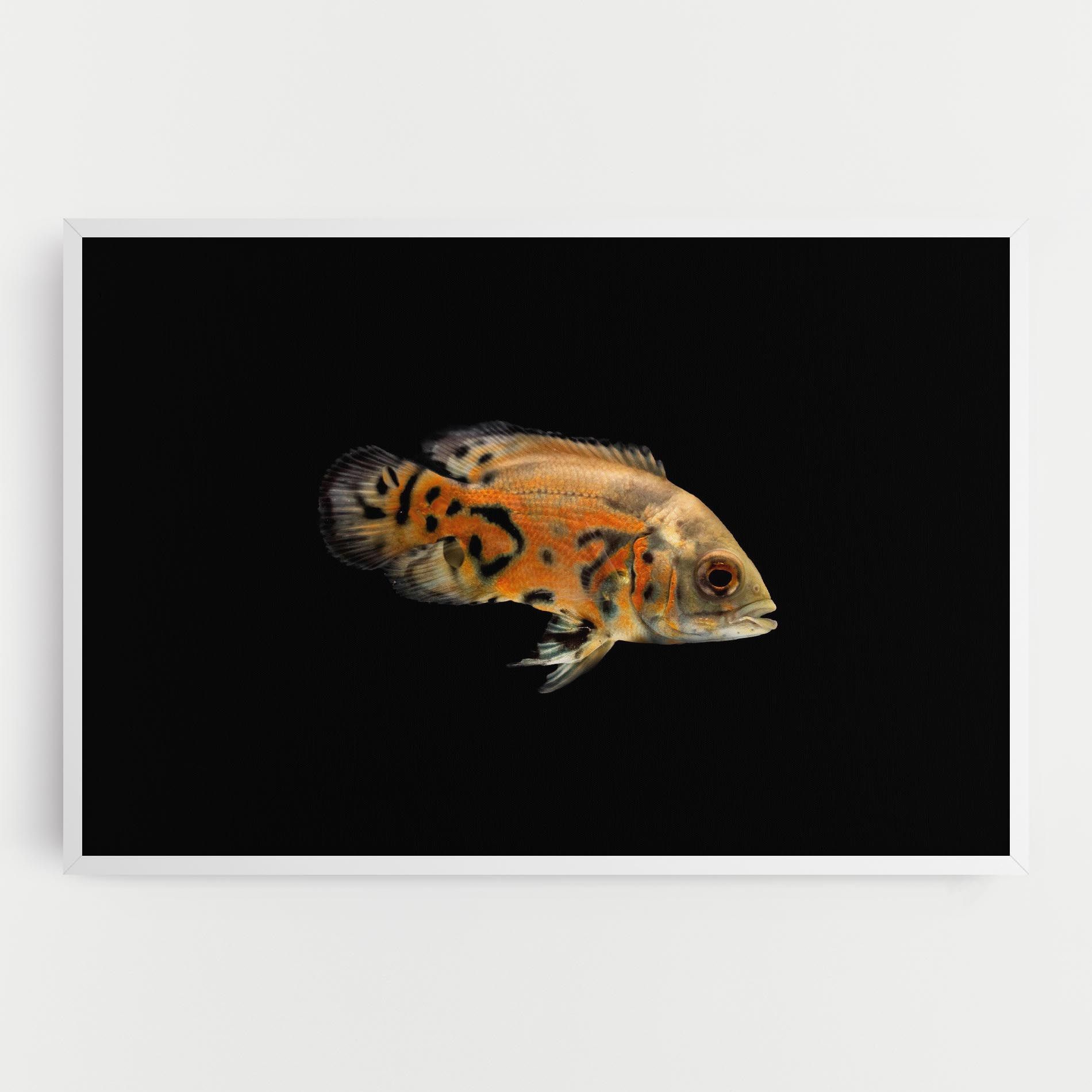 Cute Brown Fish mockup 0