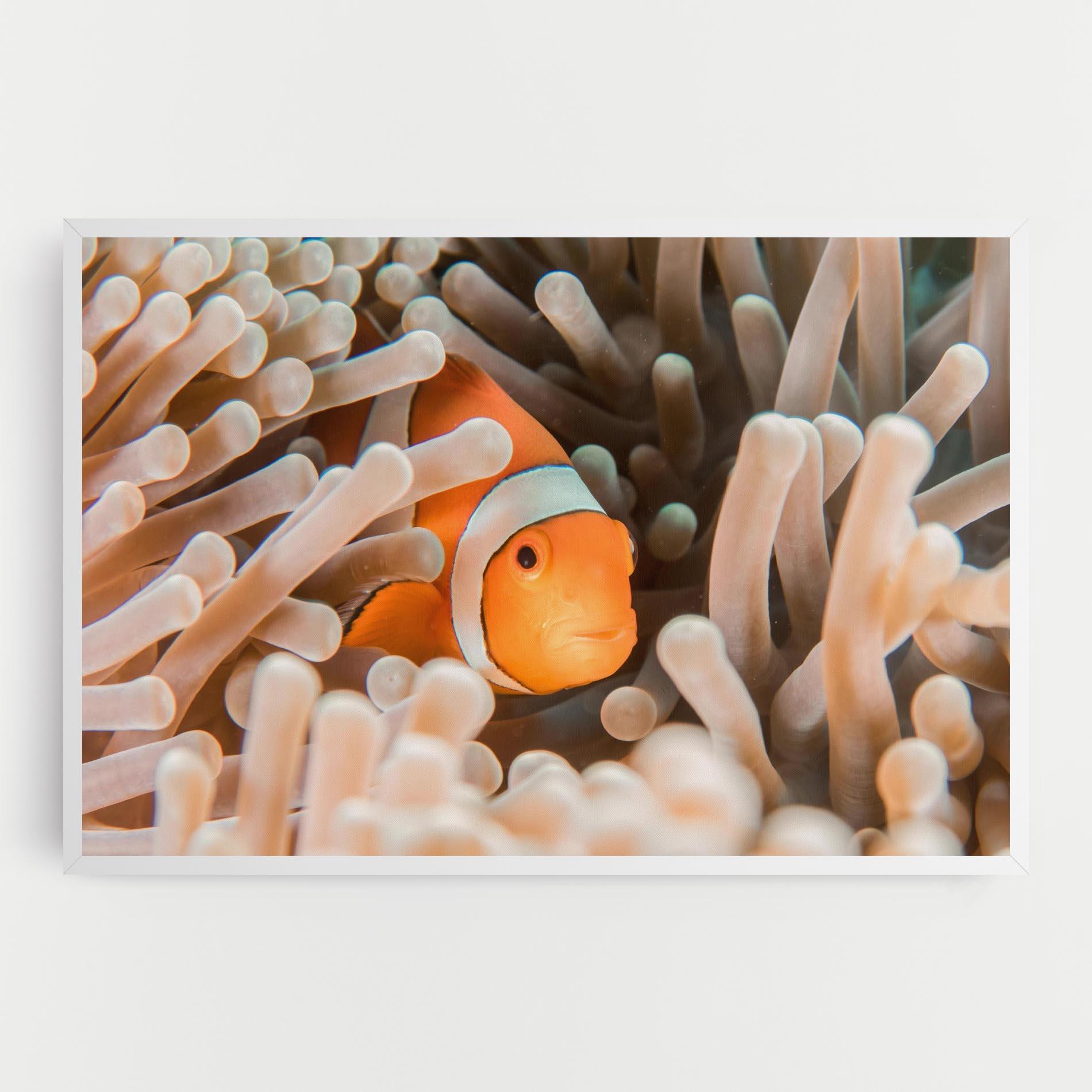 Leinwandbild Cute Nemo mockup 0