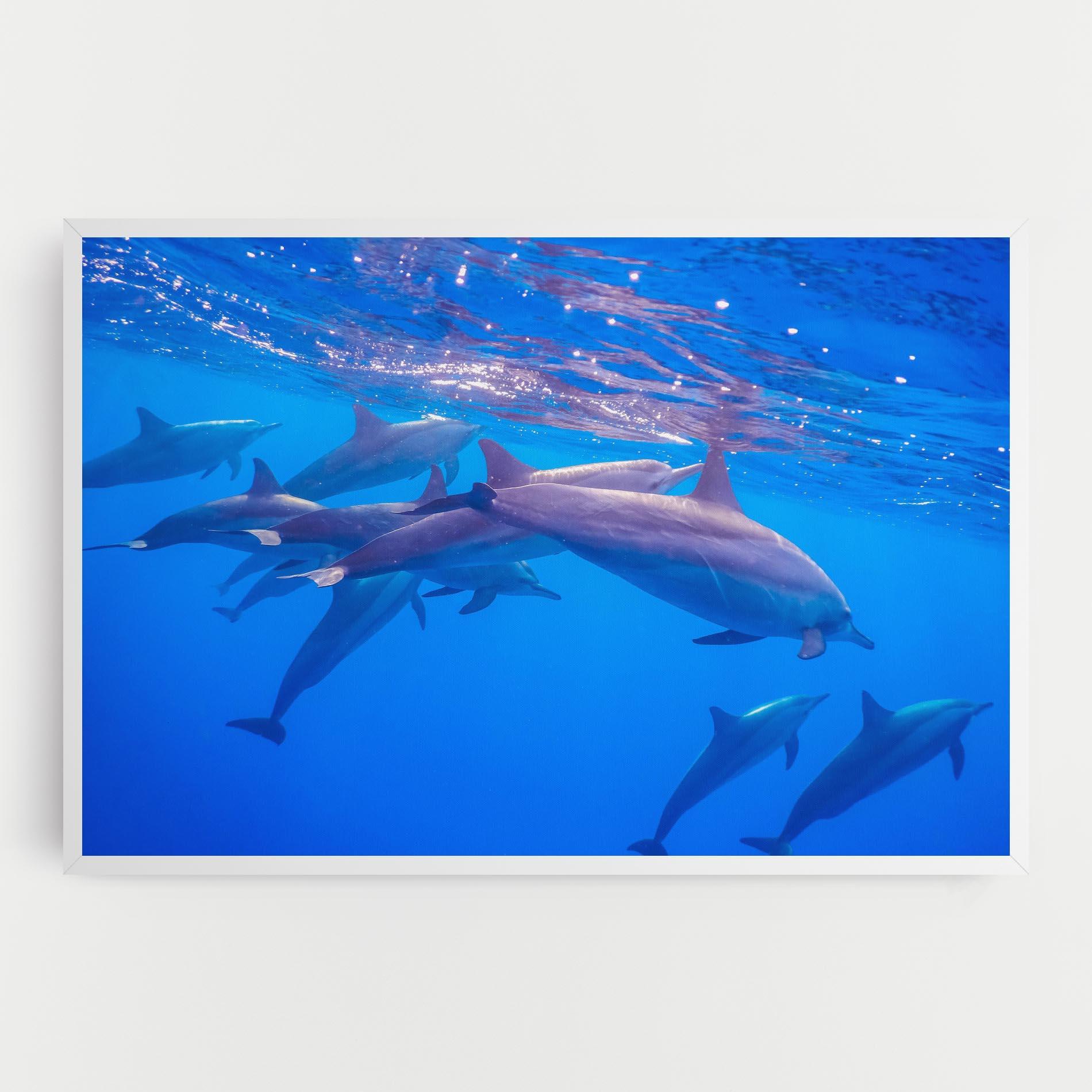 Leinwandbild Dolphin Family mockup 0