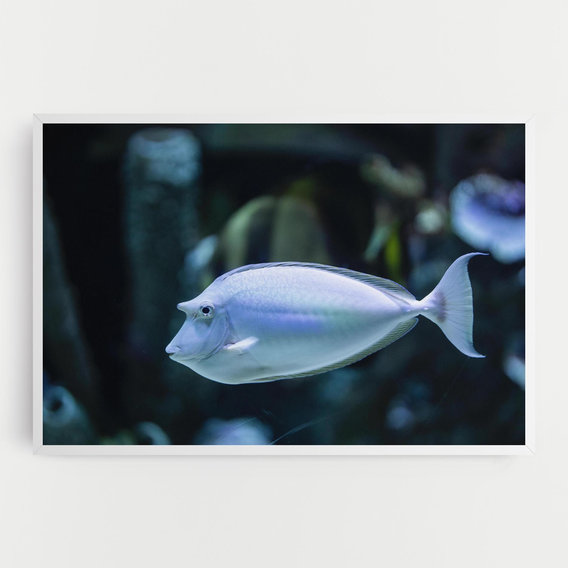 Funny Face Fish mockup 0