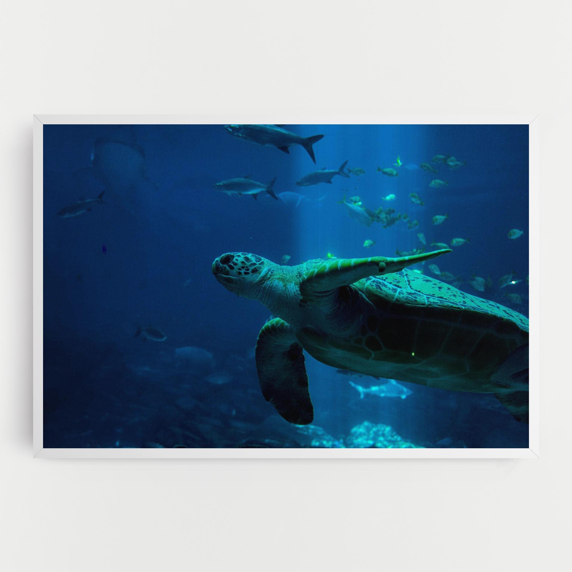 Leinwandbild Green Turtule mockup 0