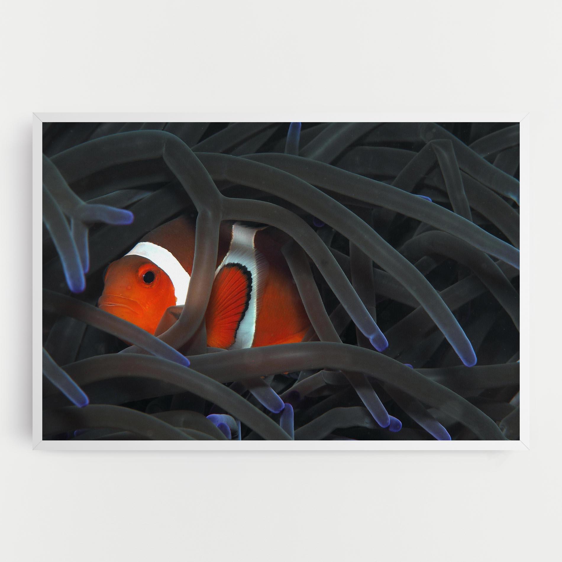 Leinwandbild Nemo Hiding mockup 0