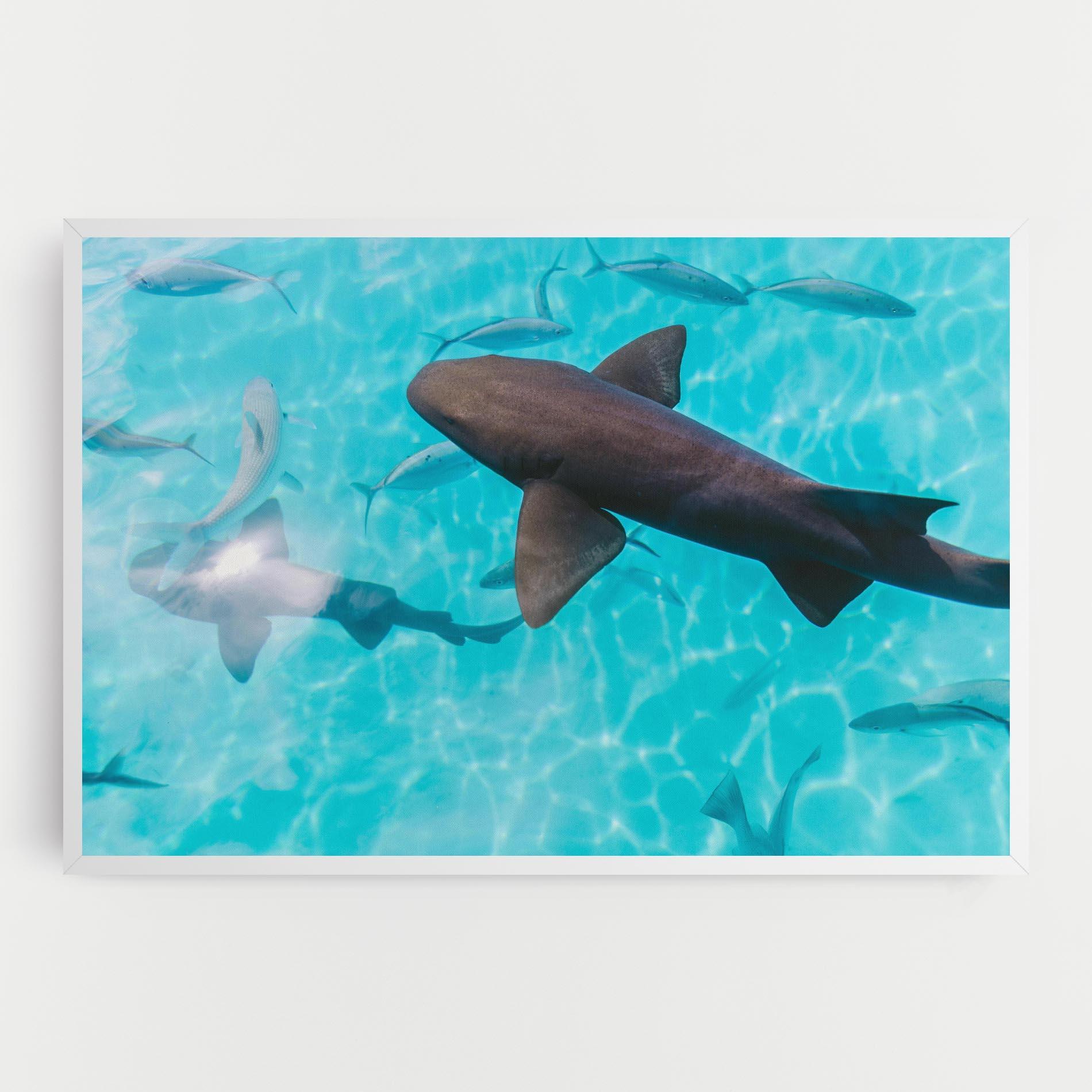 Leinwandbild Pretty Shark mockup 0