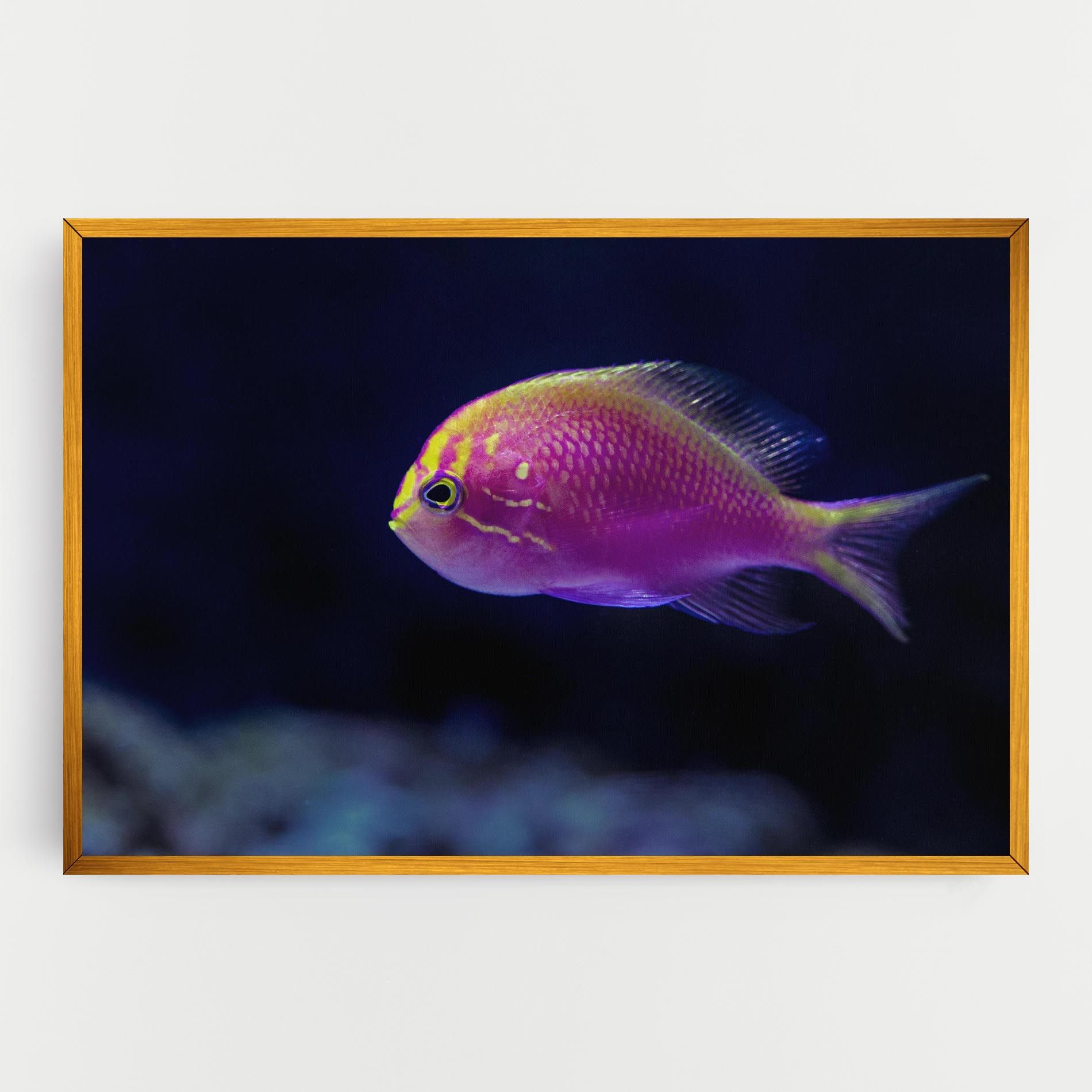 Angry Pink Fish mockup 0
