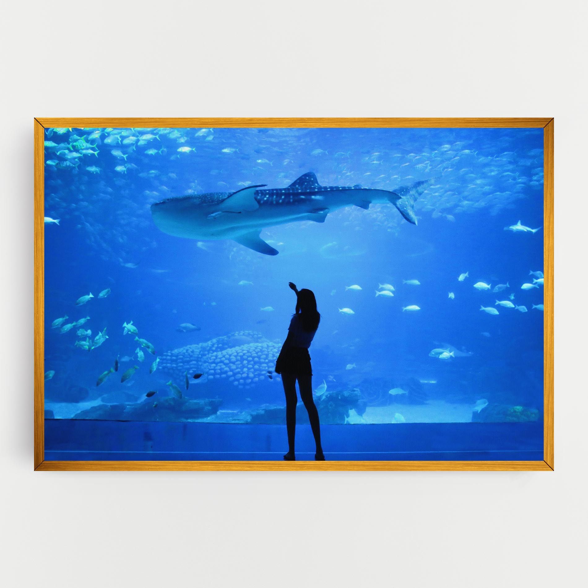 Aquarium Girl mockup 0