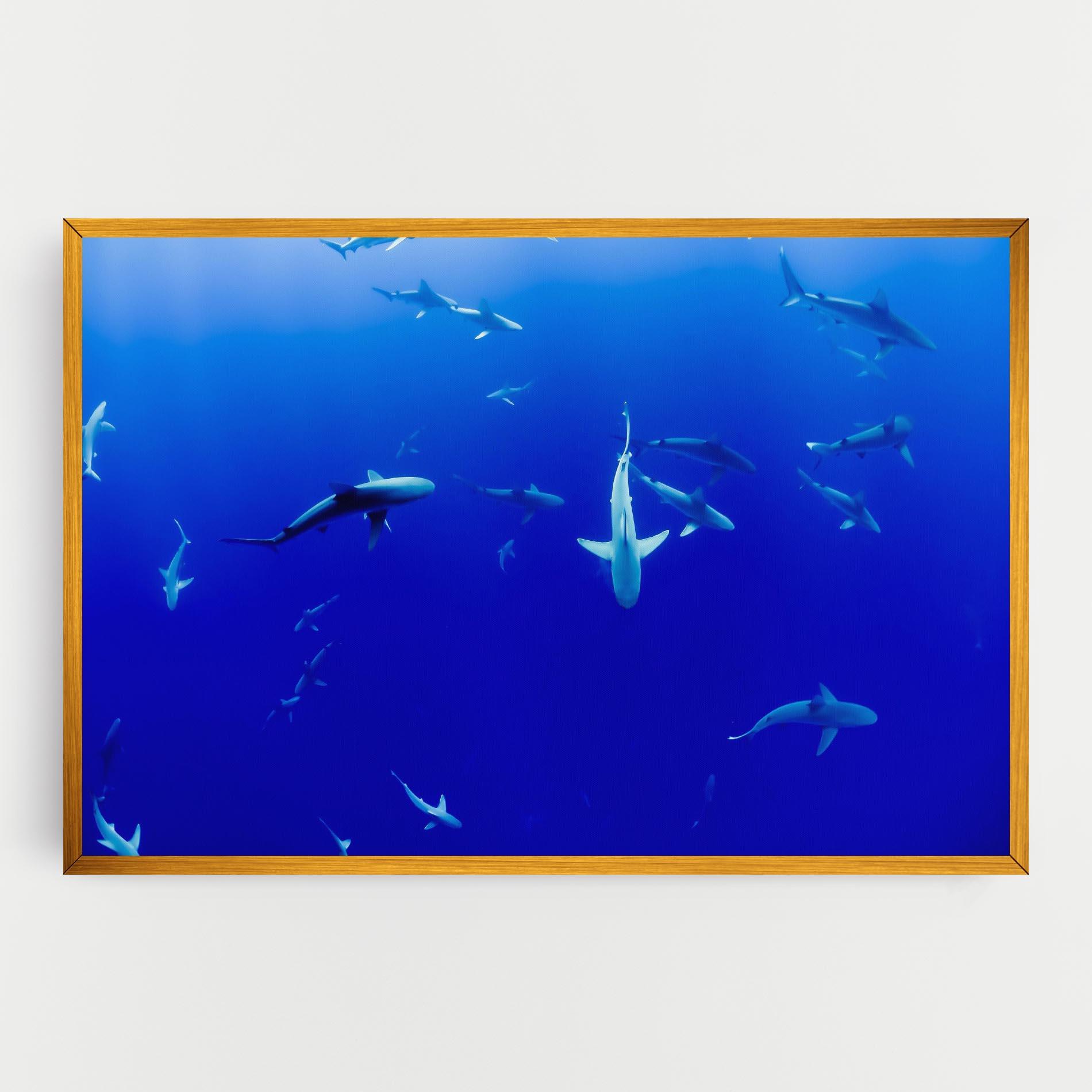 Leinwandbild Baby Sharks mockup 0