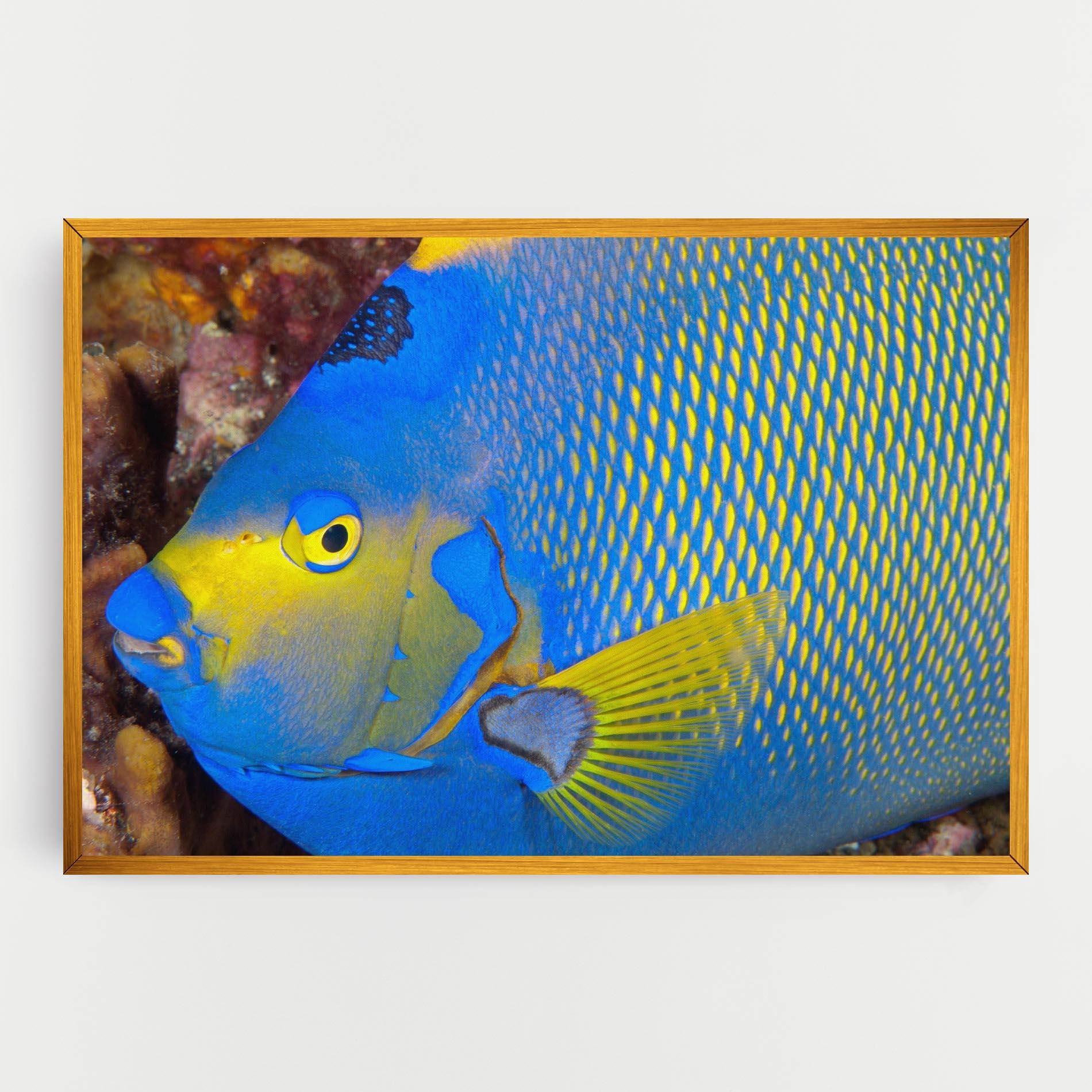 Leinwandbild Blue Yellow Fish mockup 0