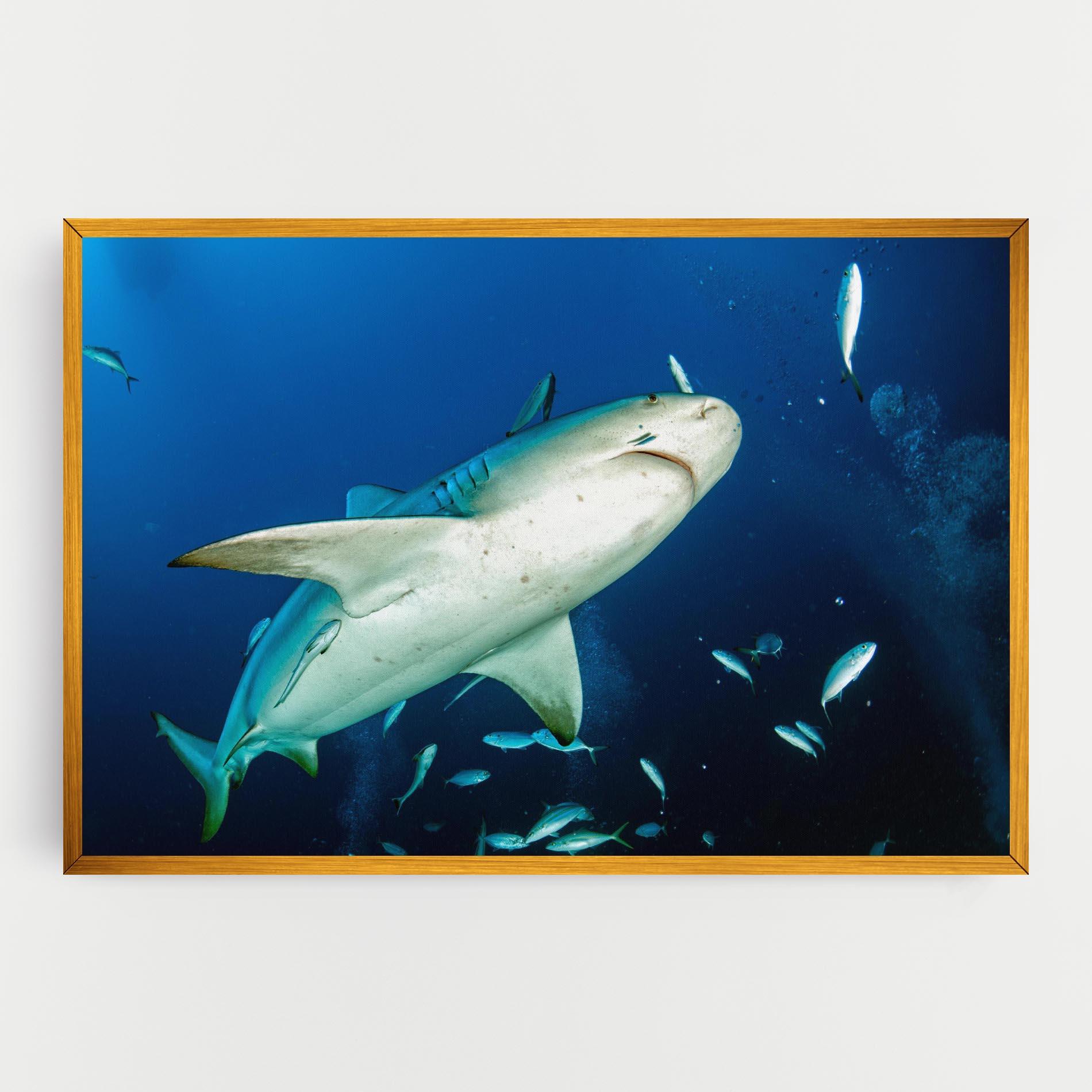 Leinwandbild Bull Shark mockup 0